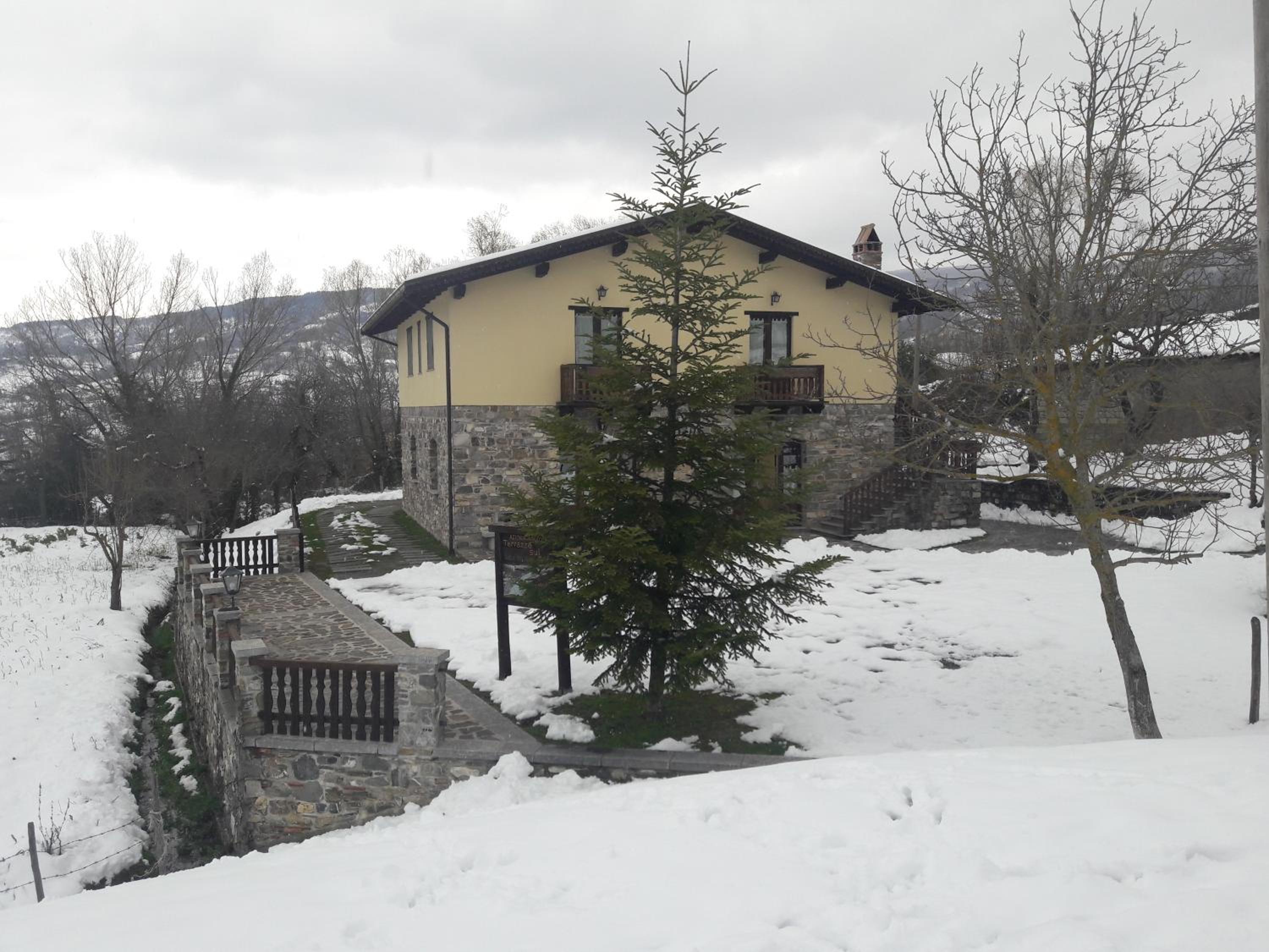 Terrazze sul frido view 2