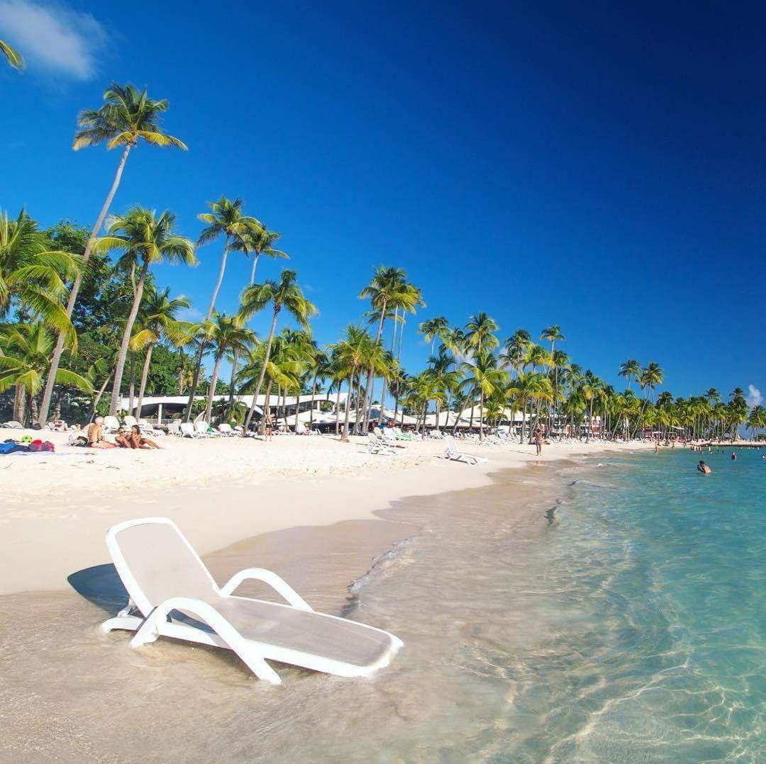 Palm Paradise
