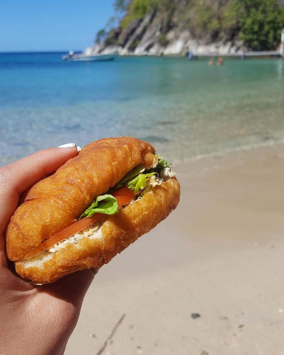 Palm Paradise