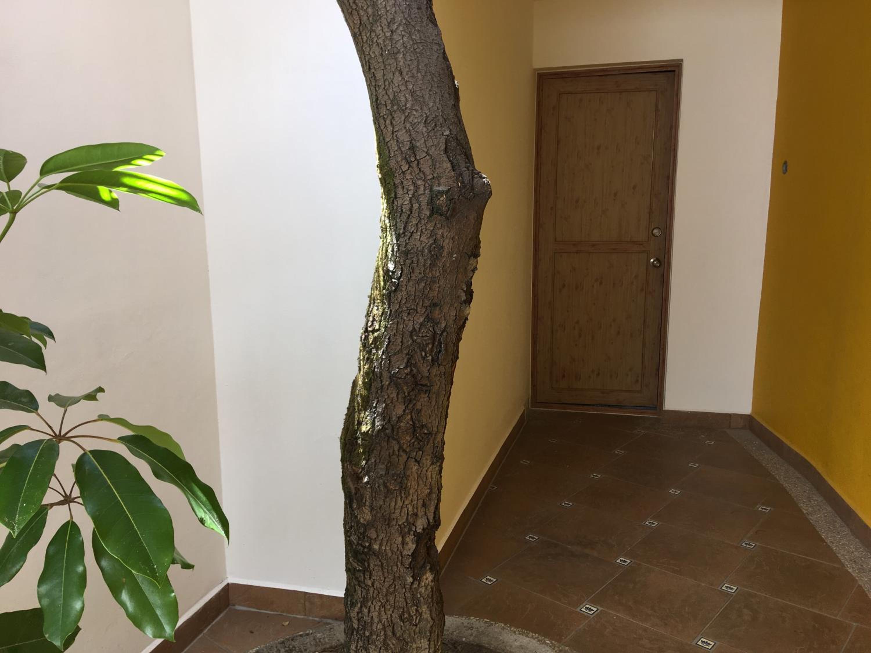Casa Cielo, photo 19