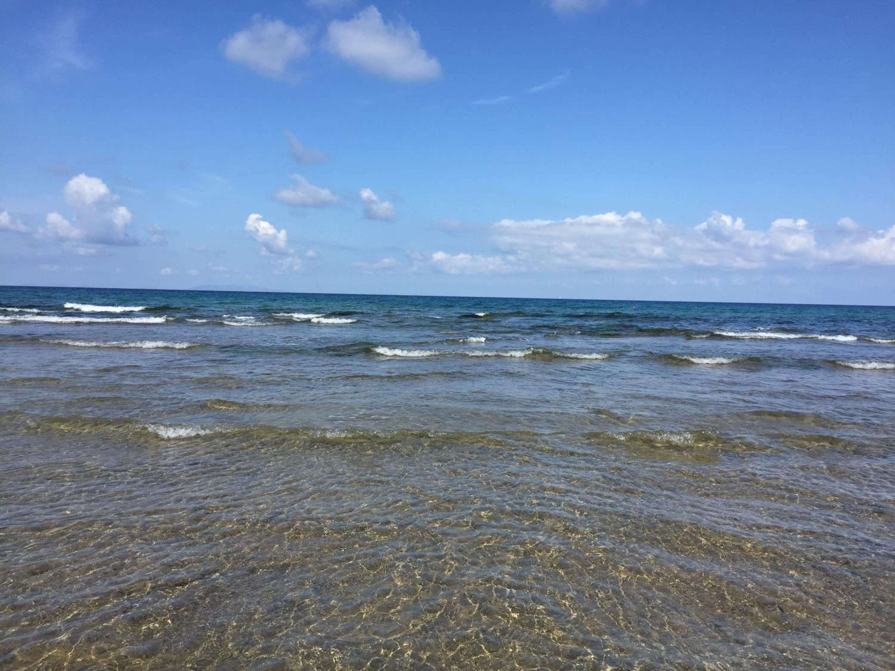 Photo 42