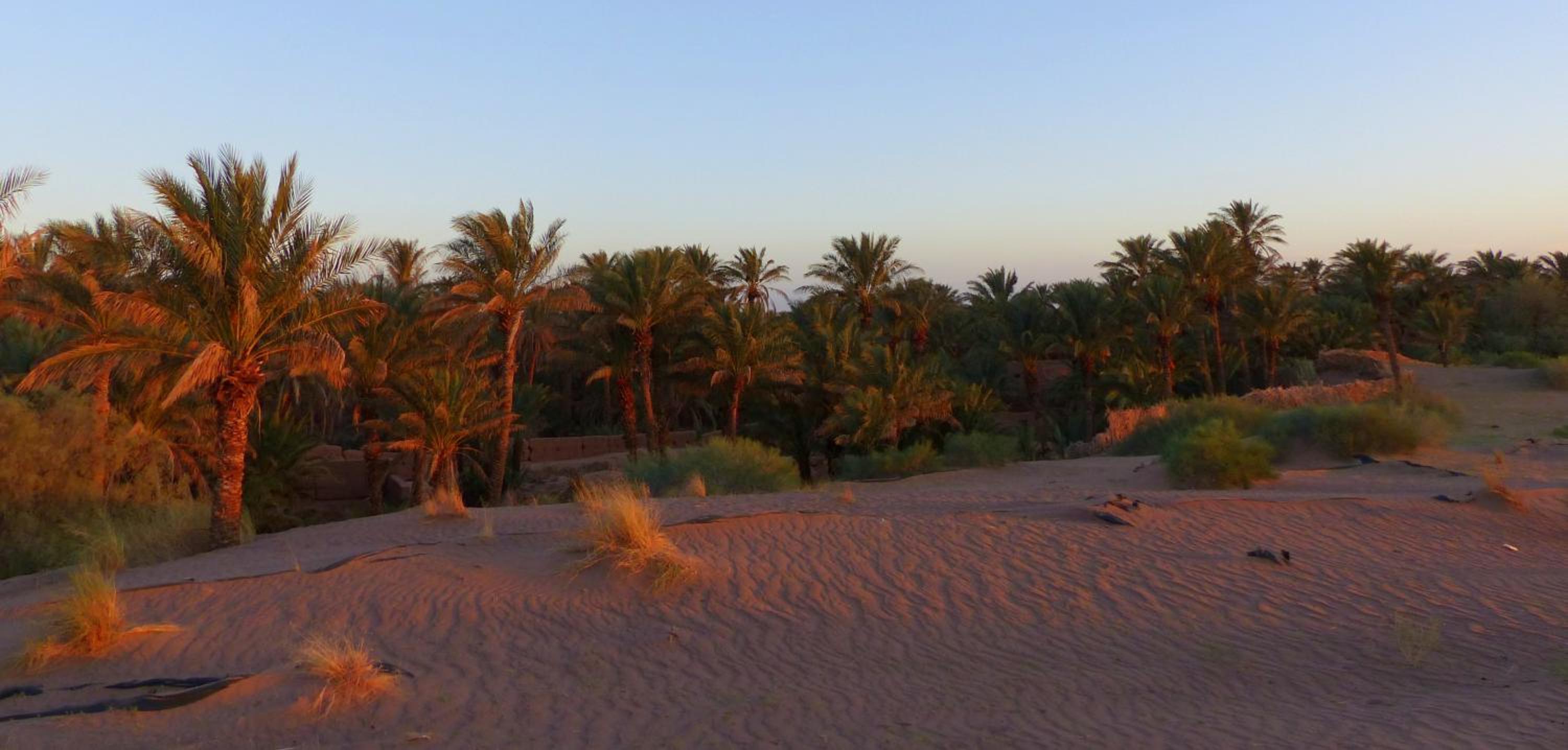 Riad Tagmadarte Ferme d'Hôte view 3