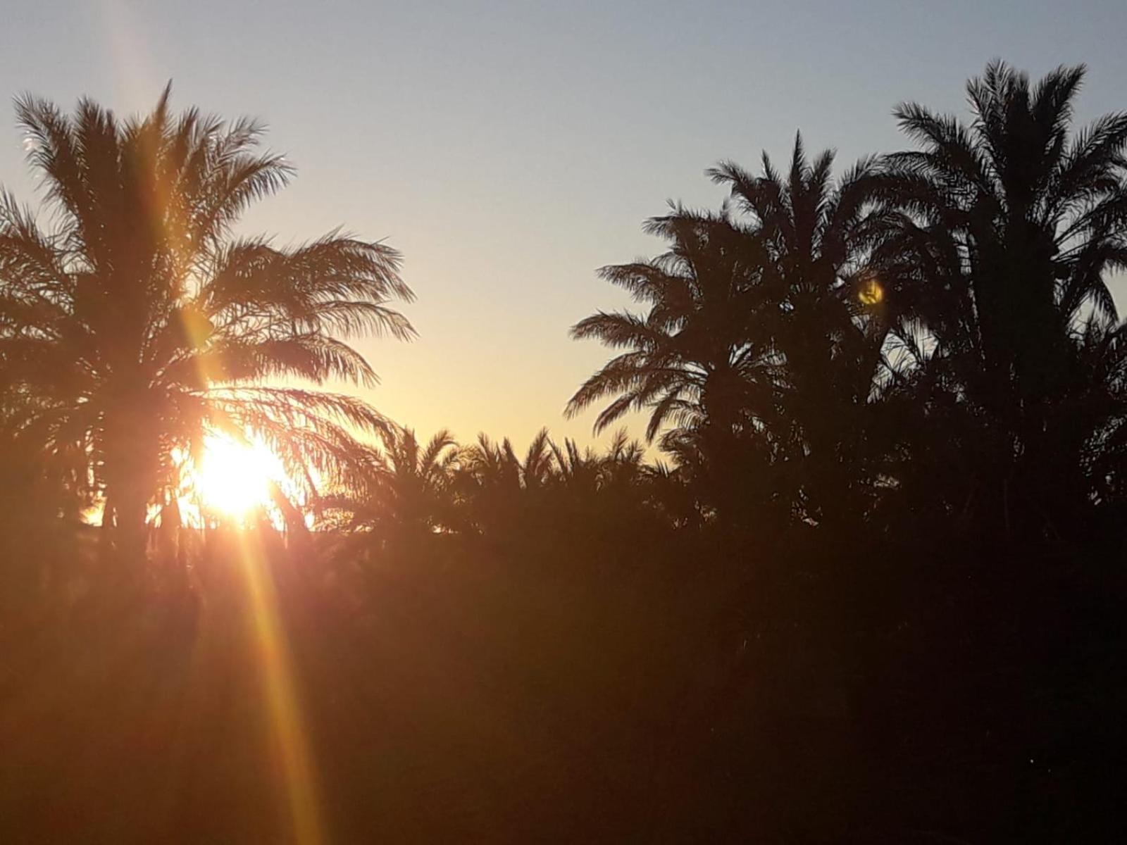 Riad Tagmadarte Ferme d'Hôte view 2