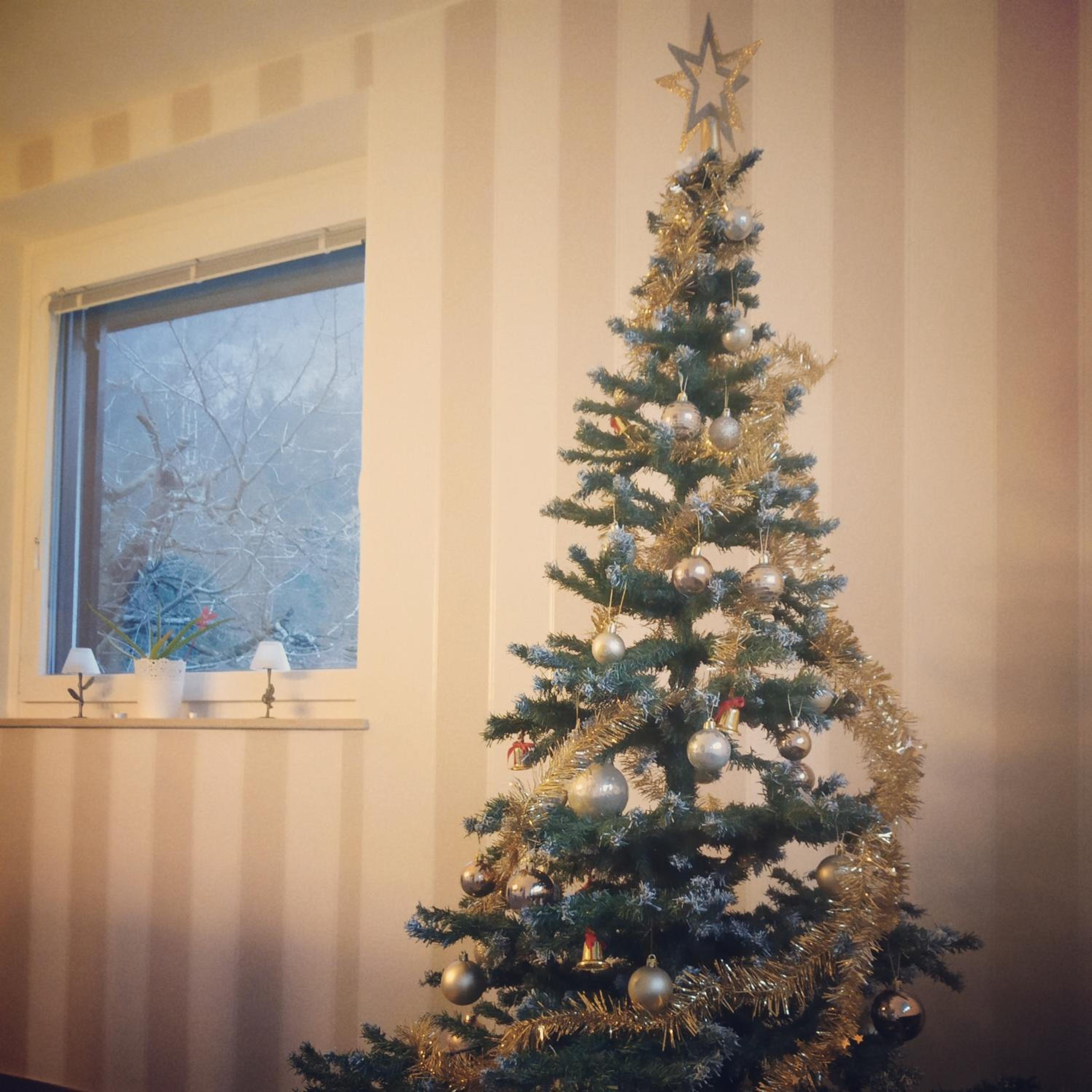 Photo 41