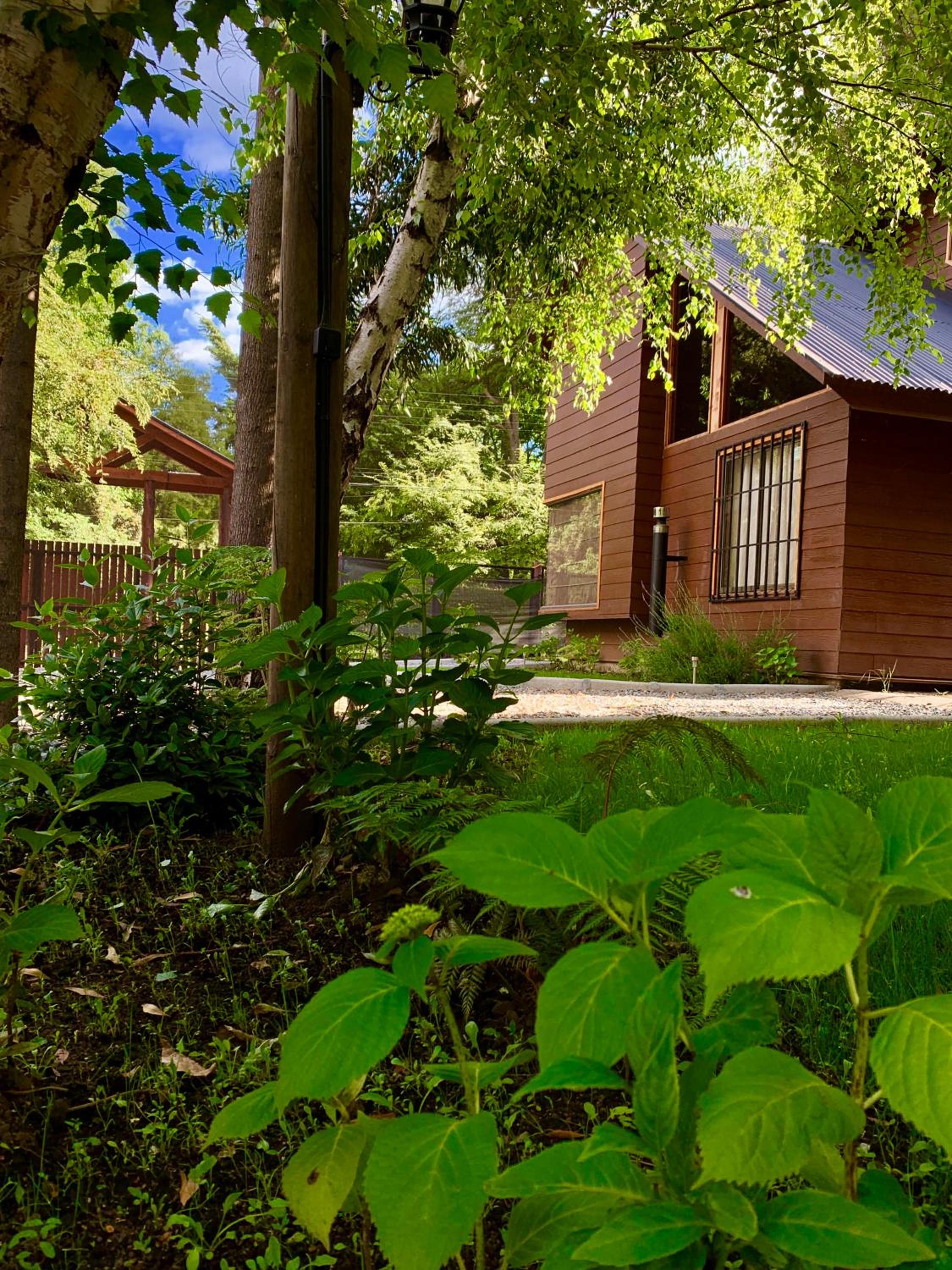 Cabañas Los Laureles - Lican Ray