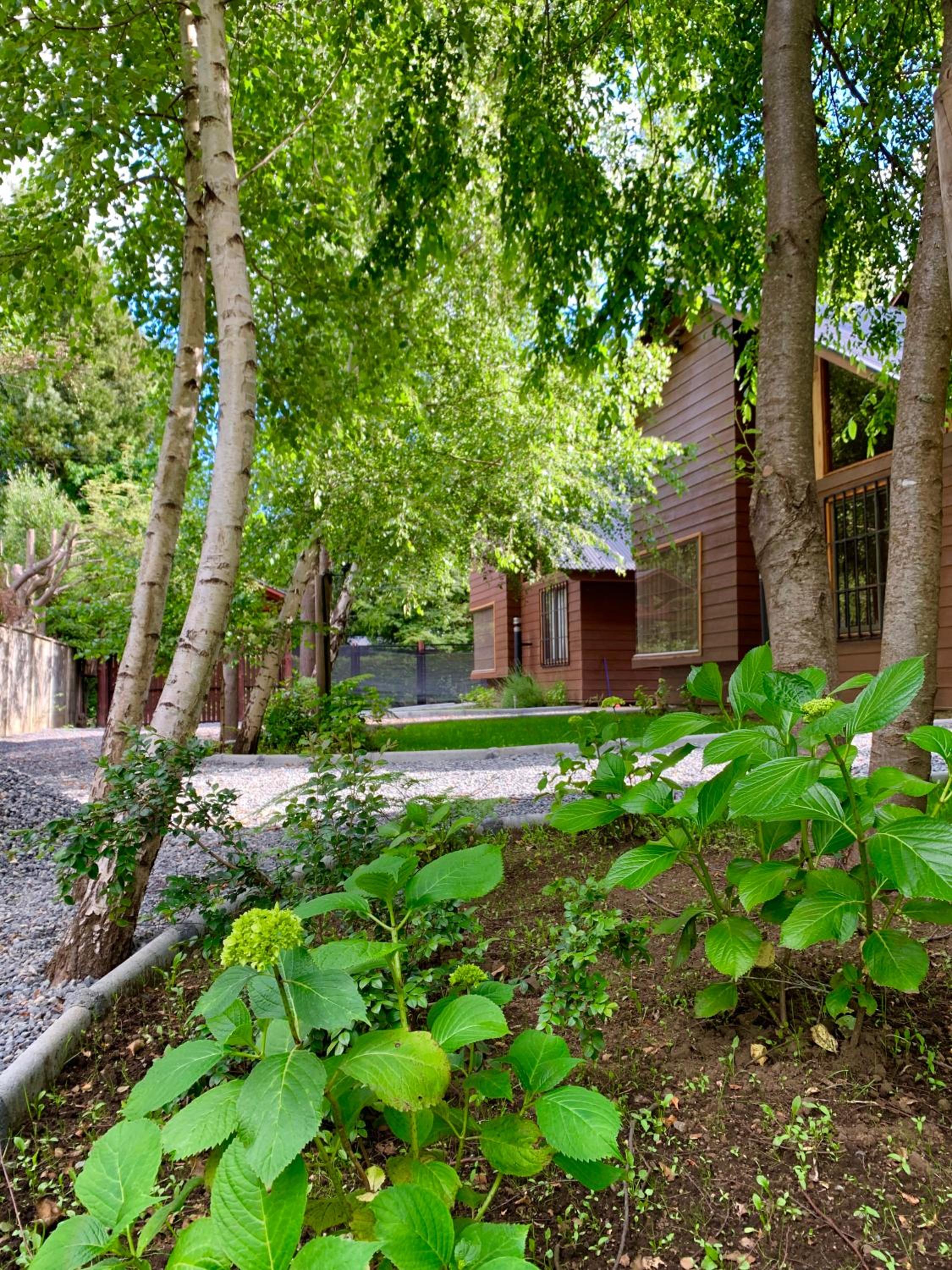Cabañas Los Laureles - Lican Ray