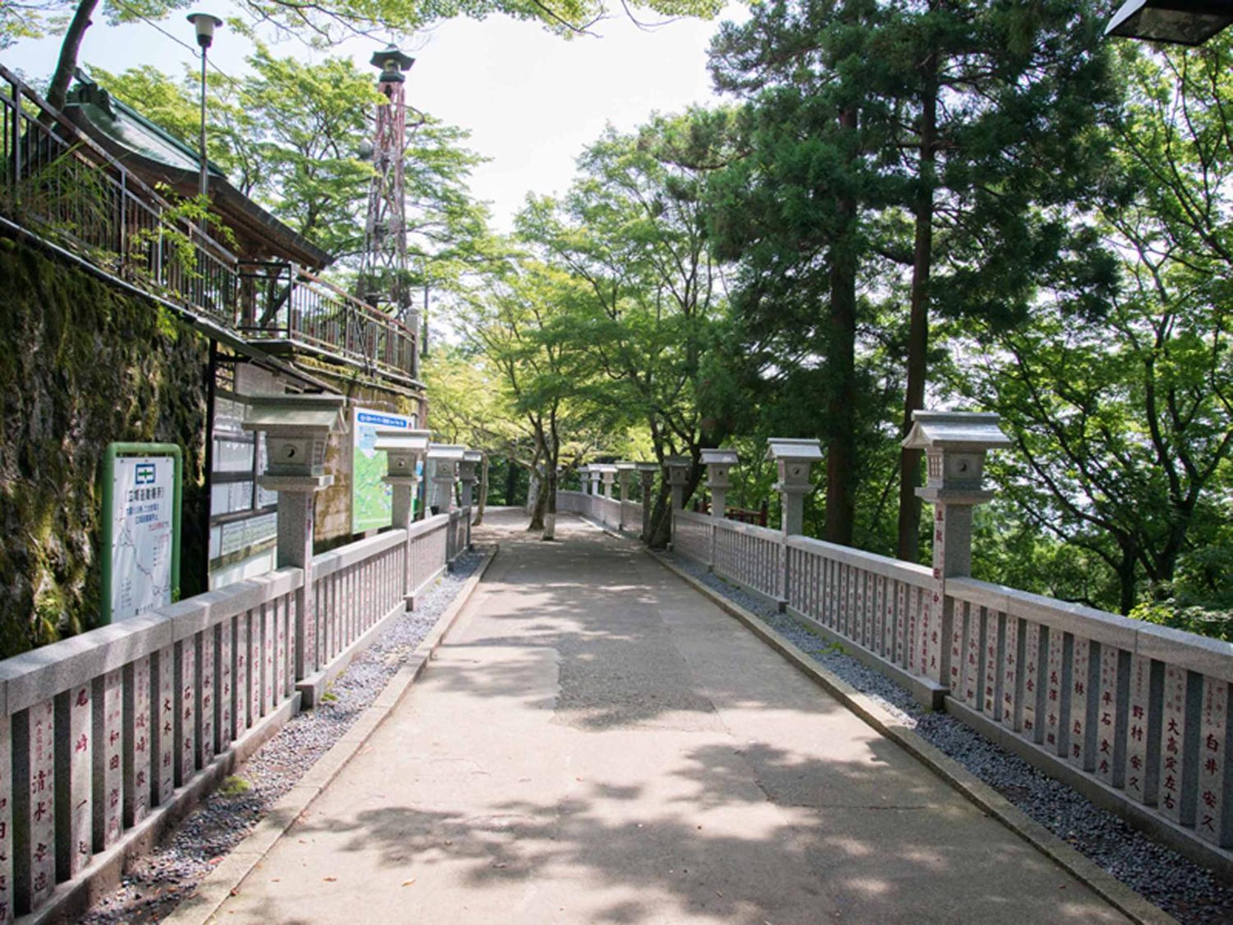 Photo 46