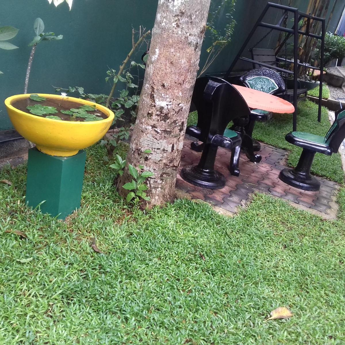 Photo 17