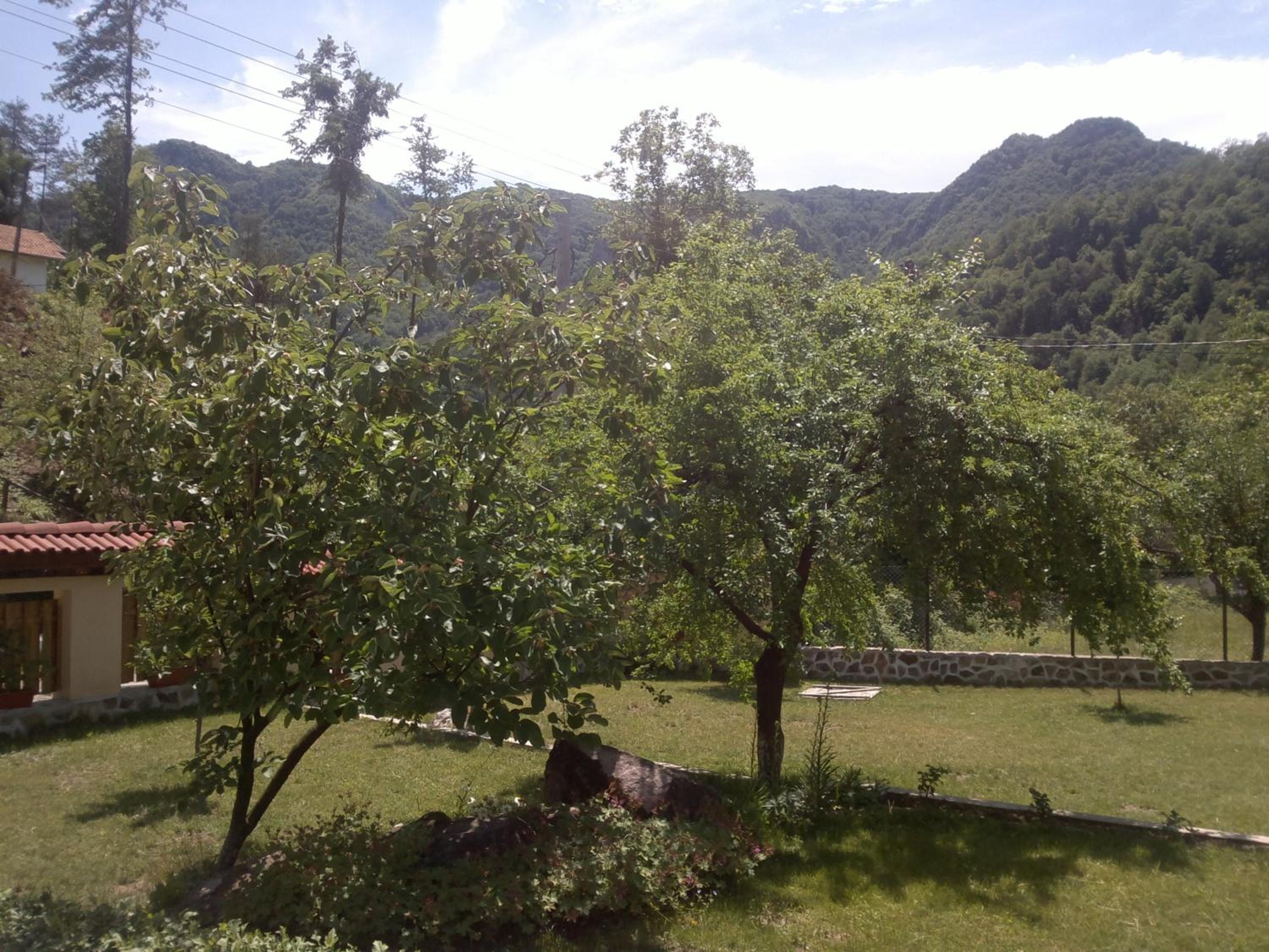 Villa Nanevi