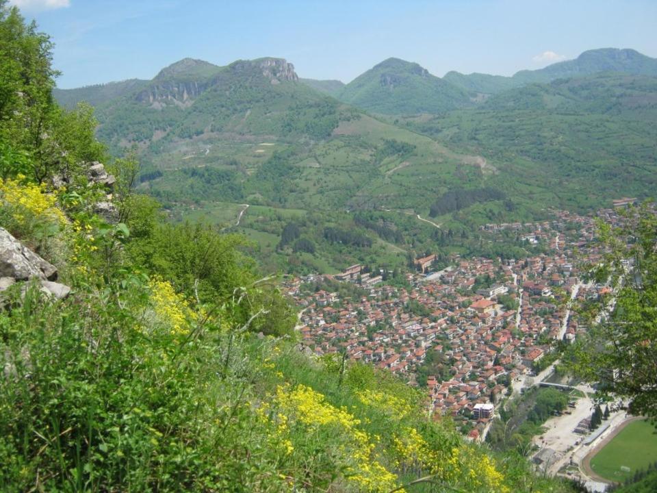 Villa Nanevi