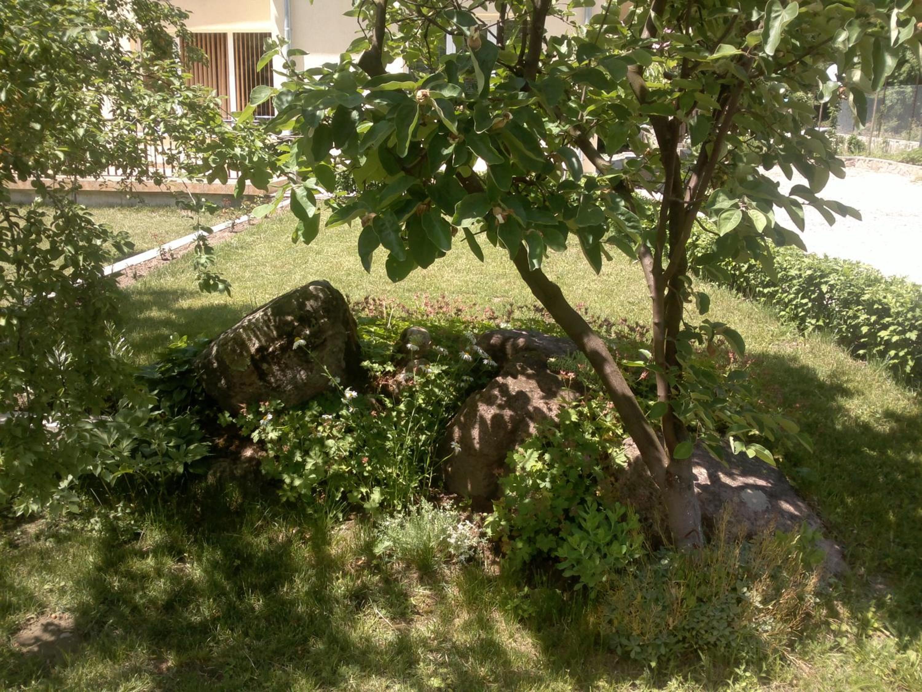 Villa Nanevi