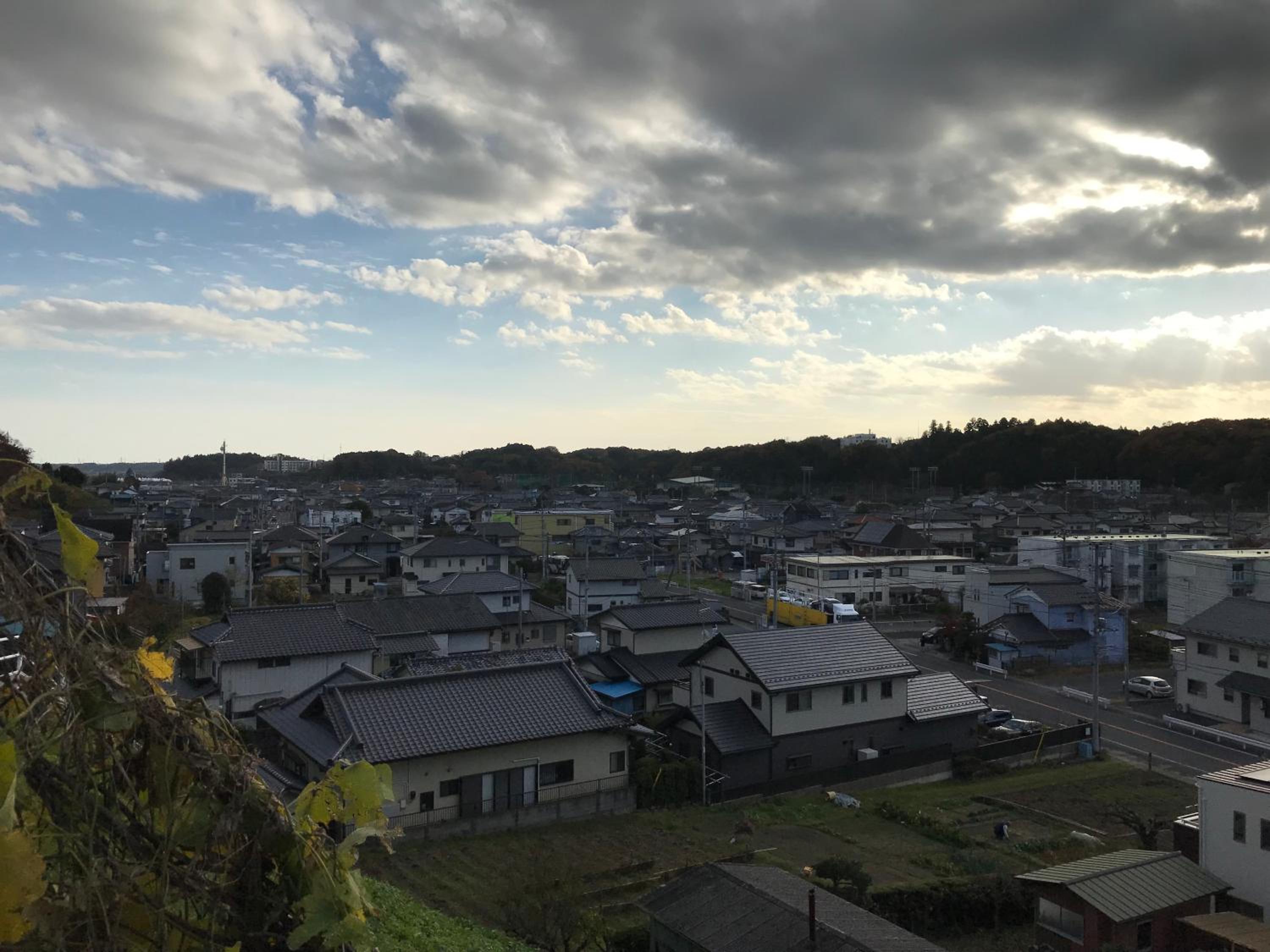 Photo 25