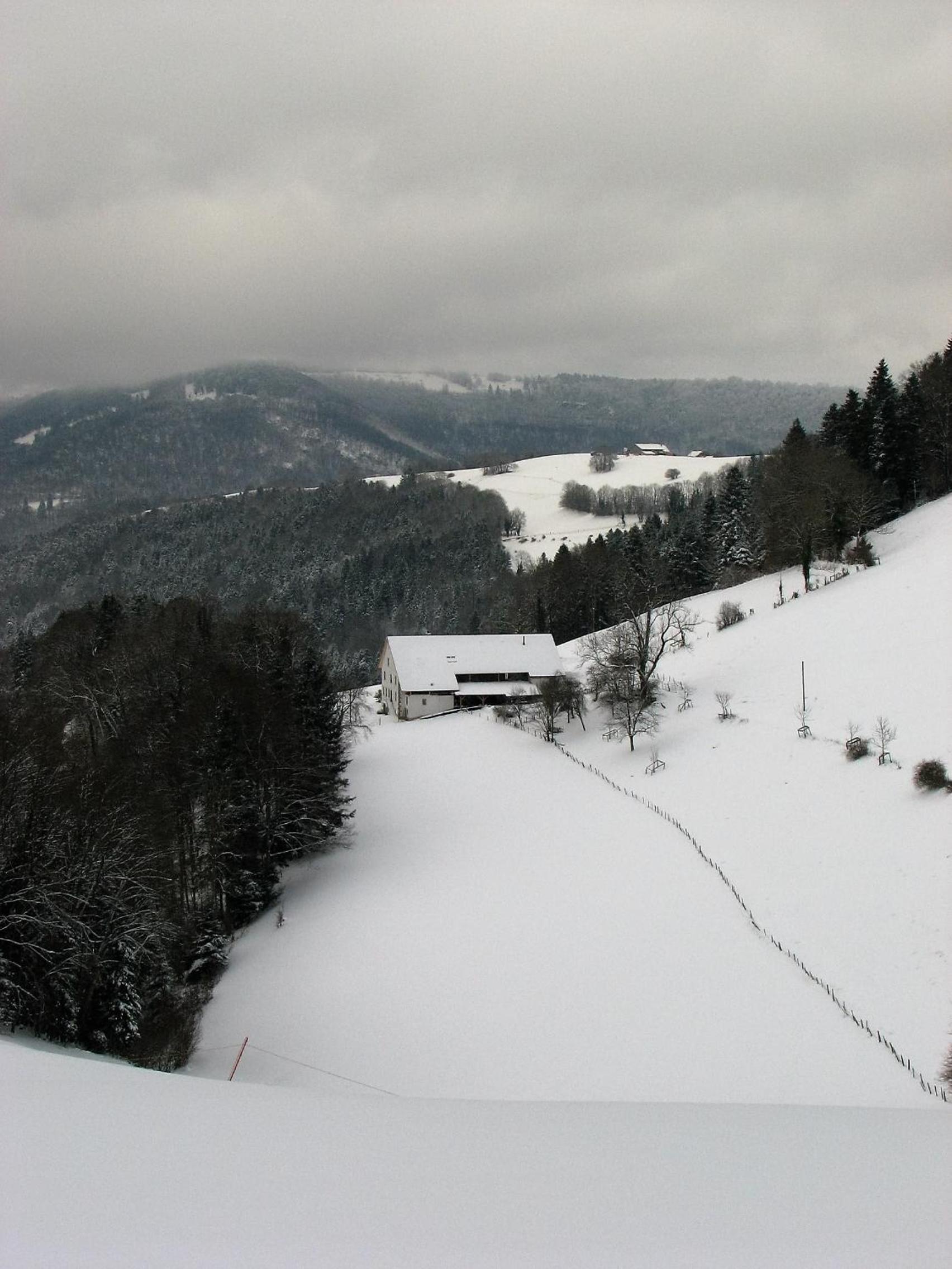 Photo 17