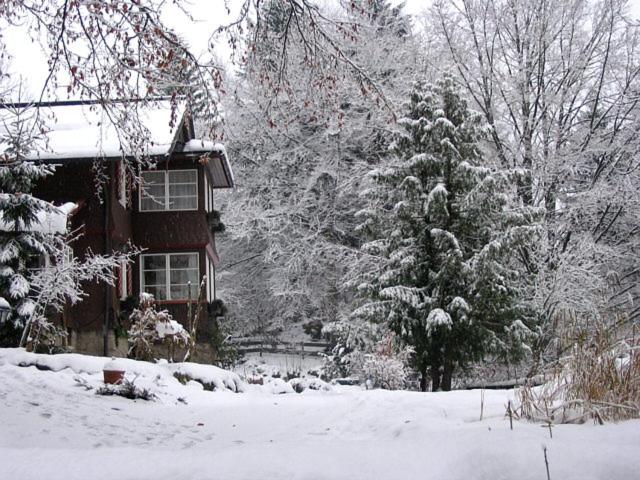 Haus Bürgle