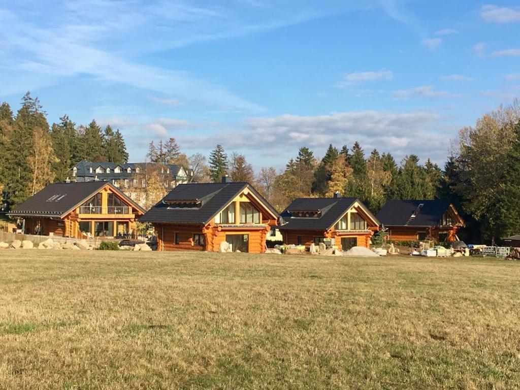 Naturstammhaus und Appartements Zum Brockenbaecker