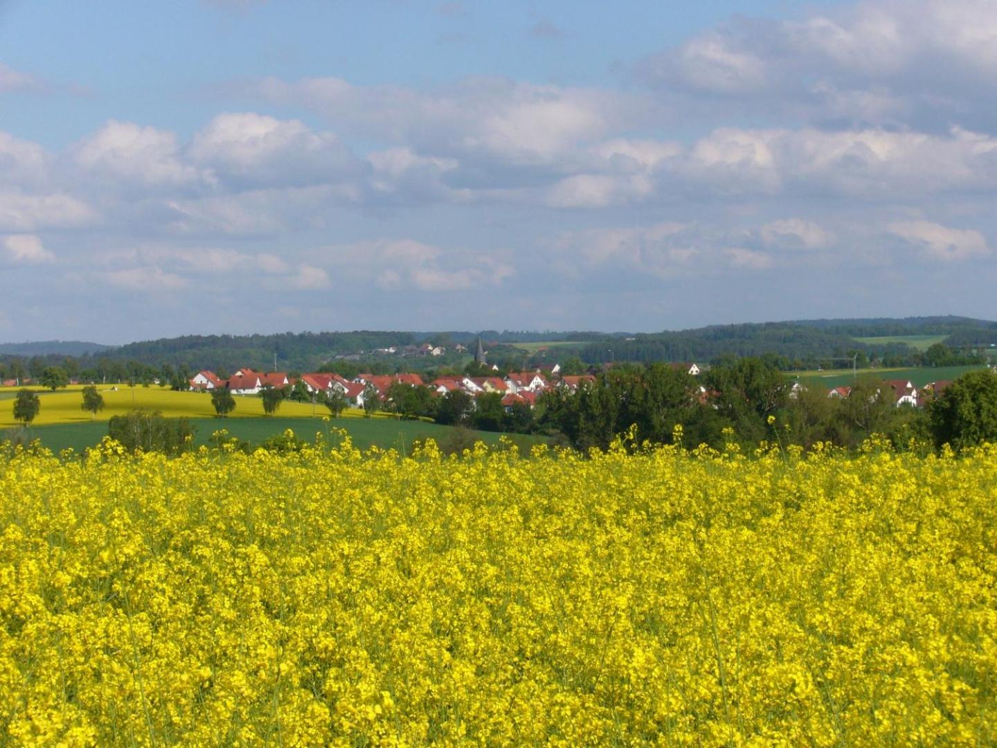 Ferienidyll Aumuhle, "Bebenburg" - Property Image 4