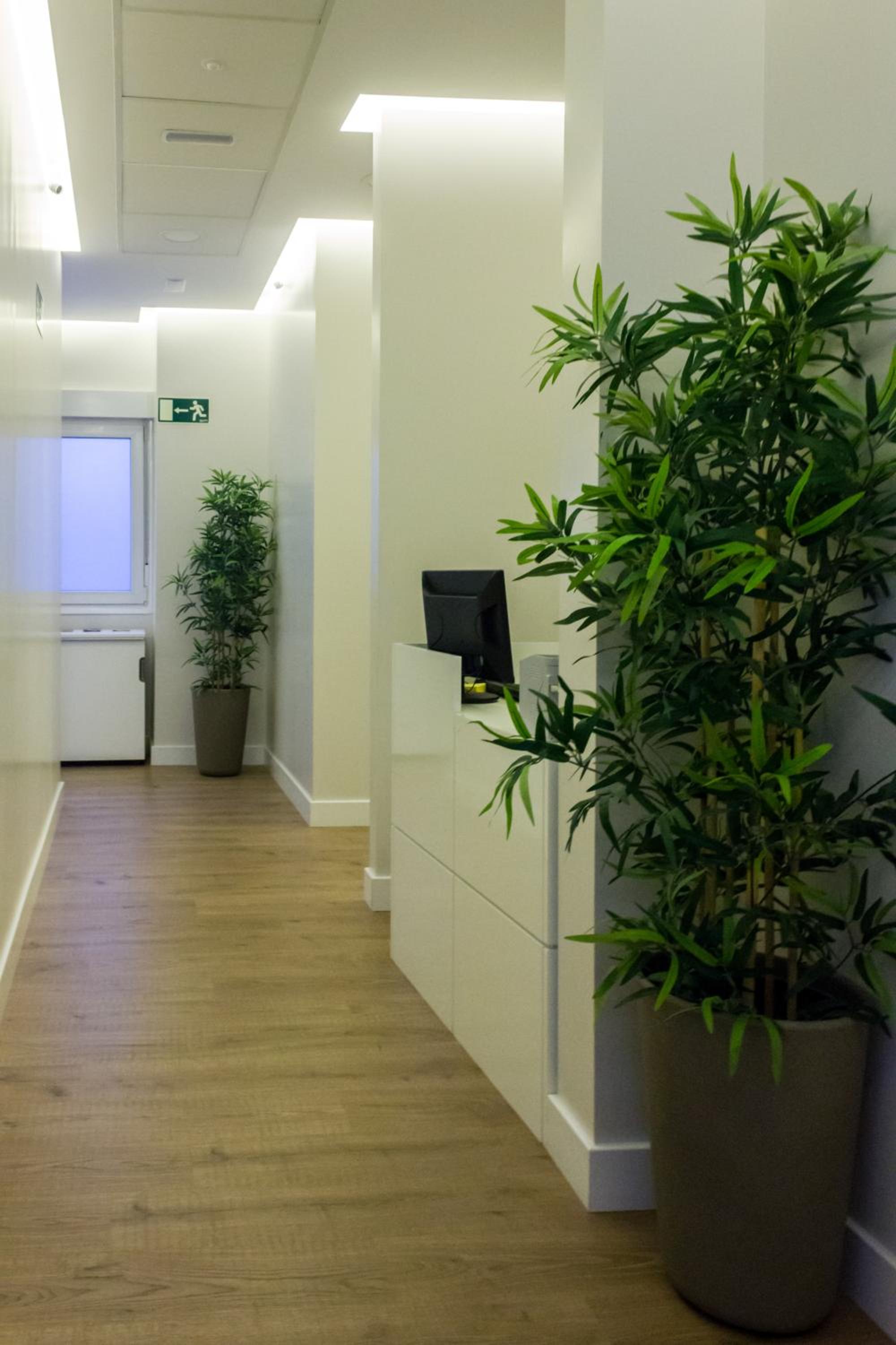 Arenal Suites Gran Vía