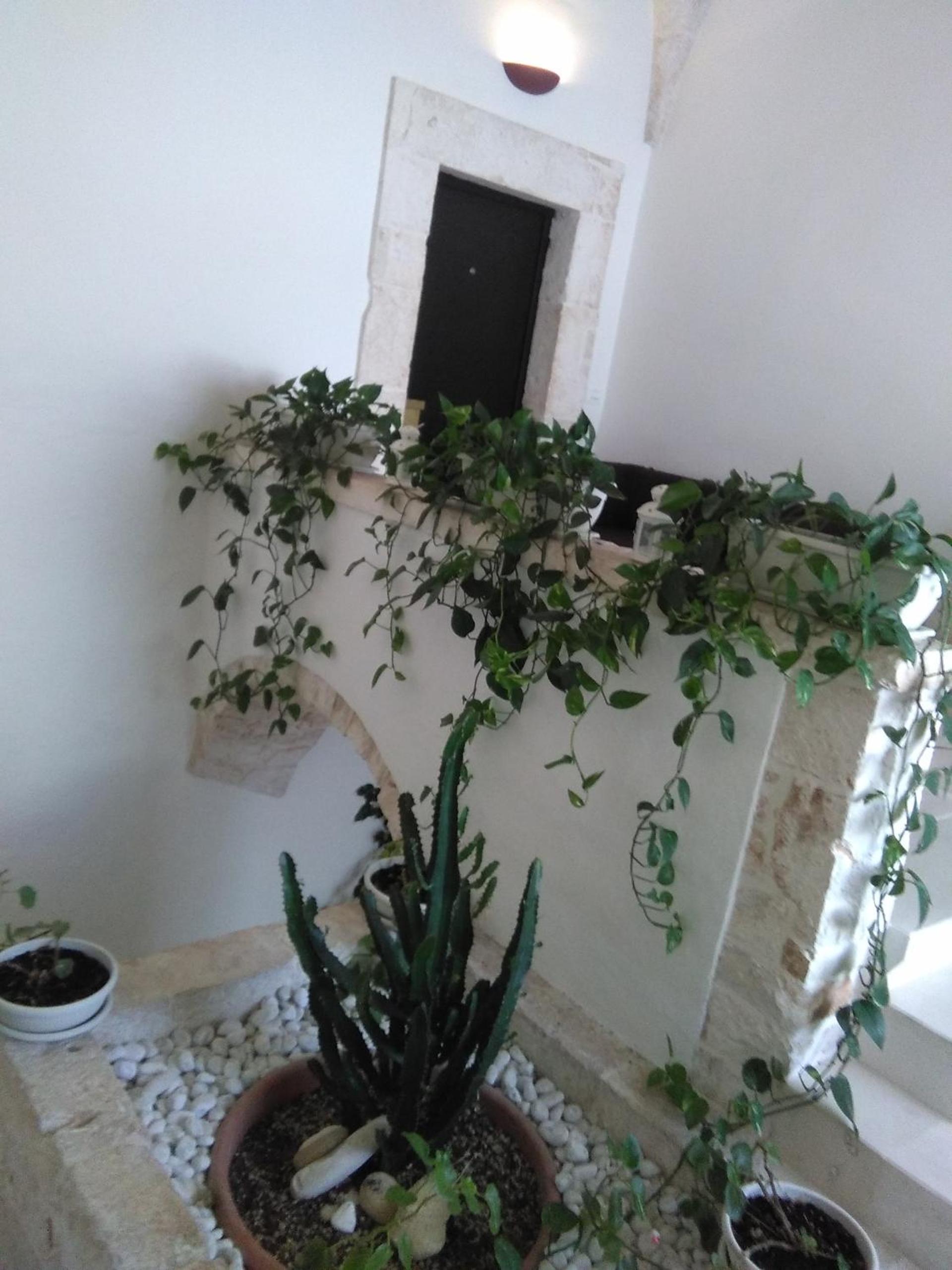 ARCOBELLO Suite Rooms, photo 9