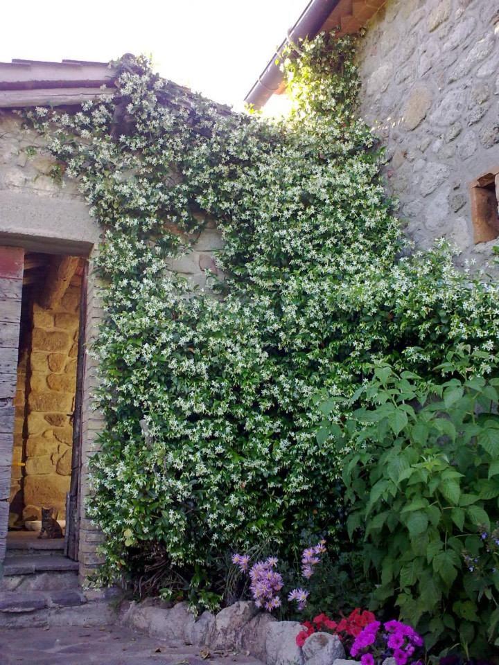 Photo 34