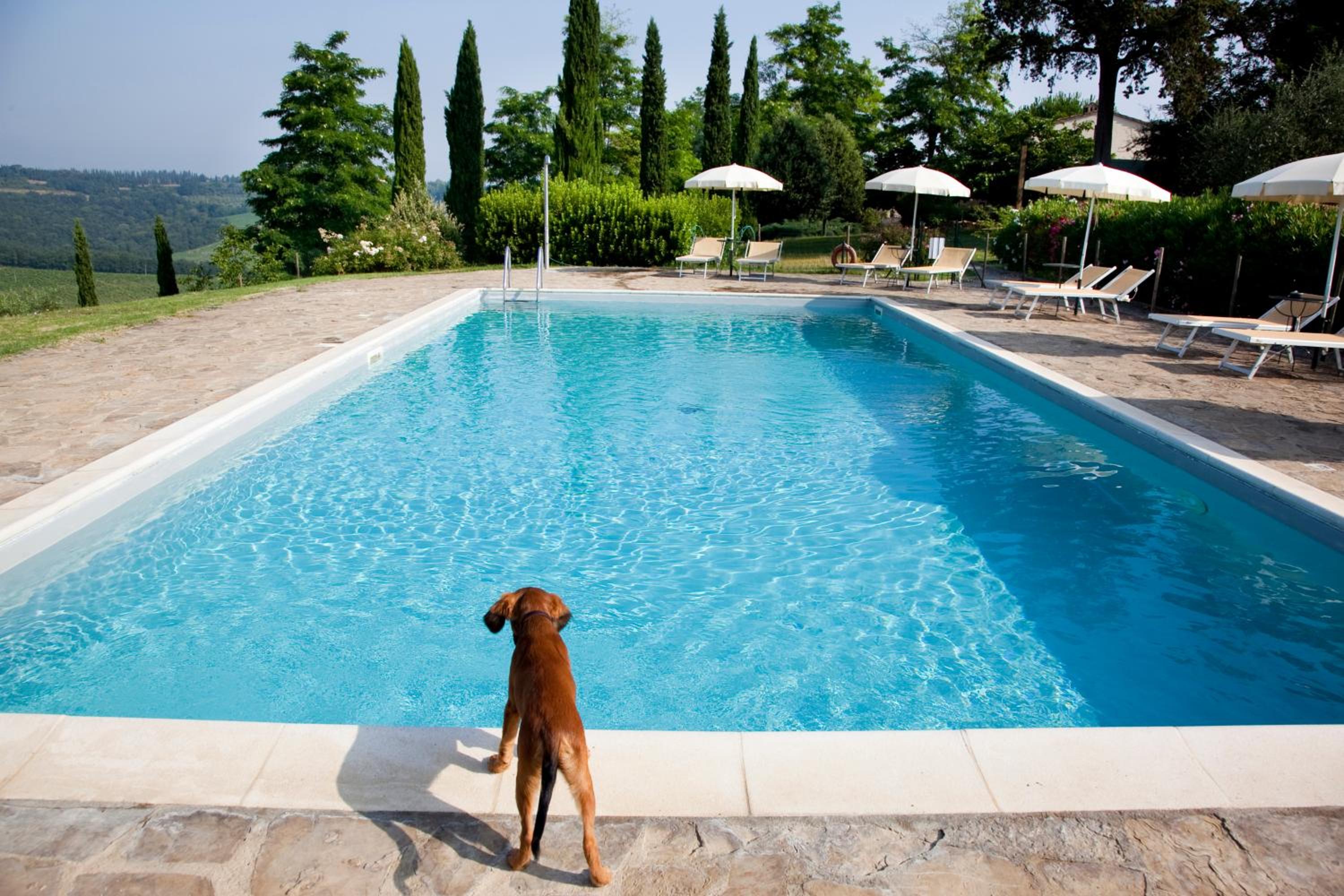 Il Rosolaccio view 3