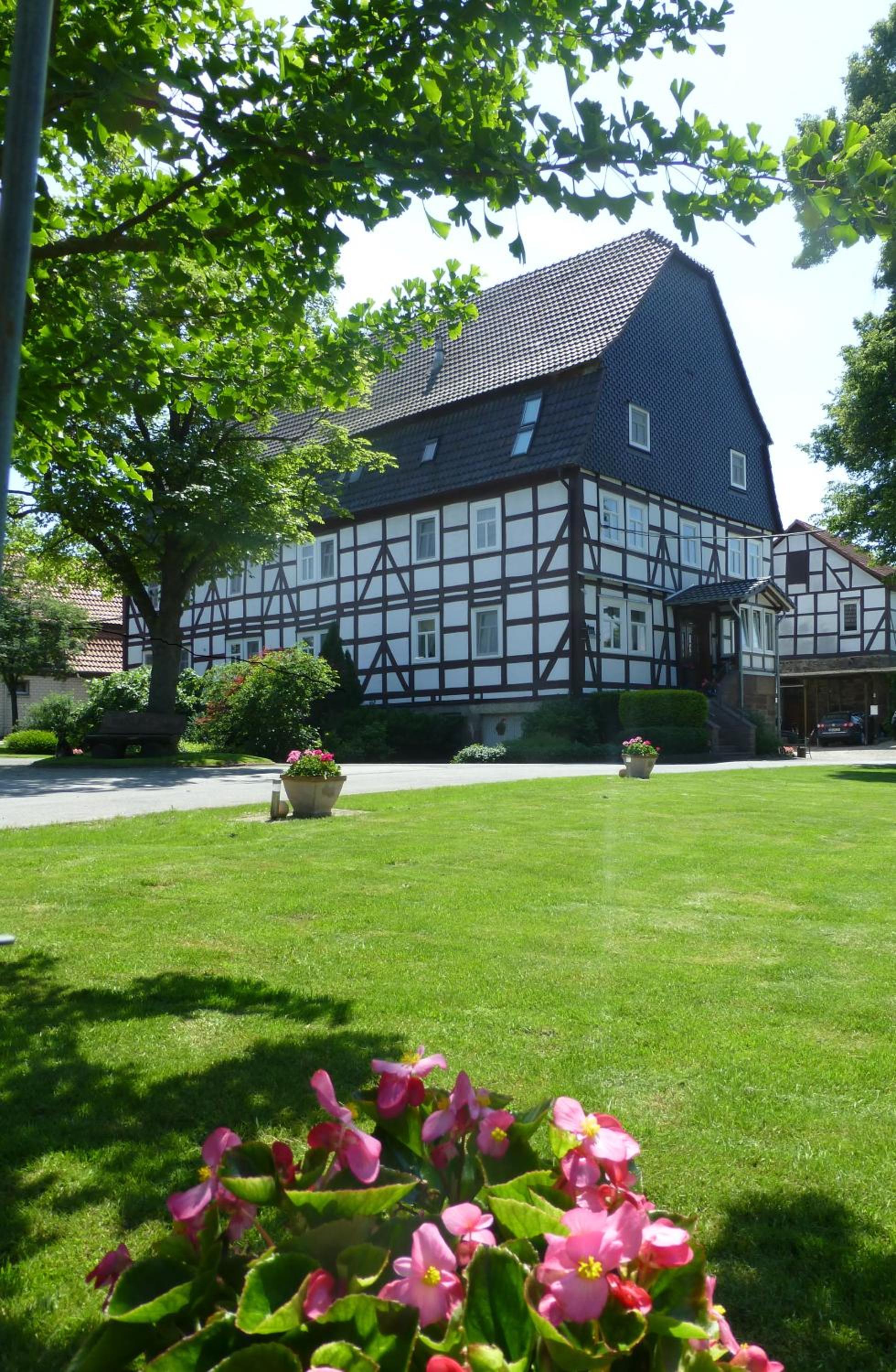 Photo 9