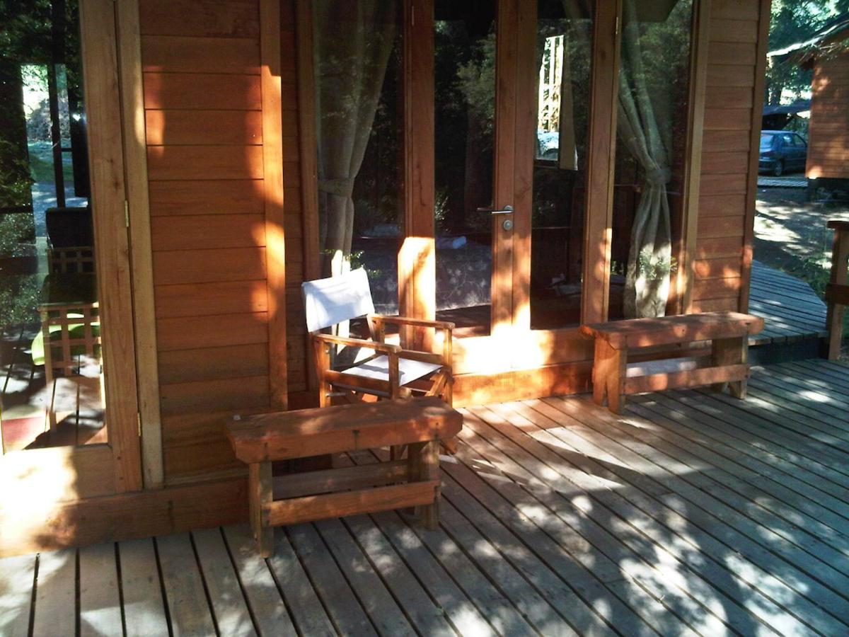 Patagonia Mawida