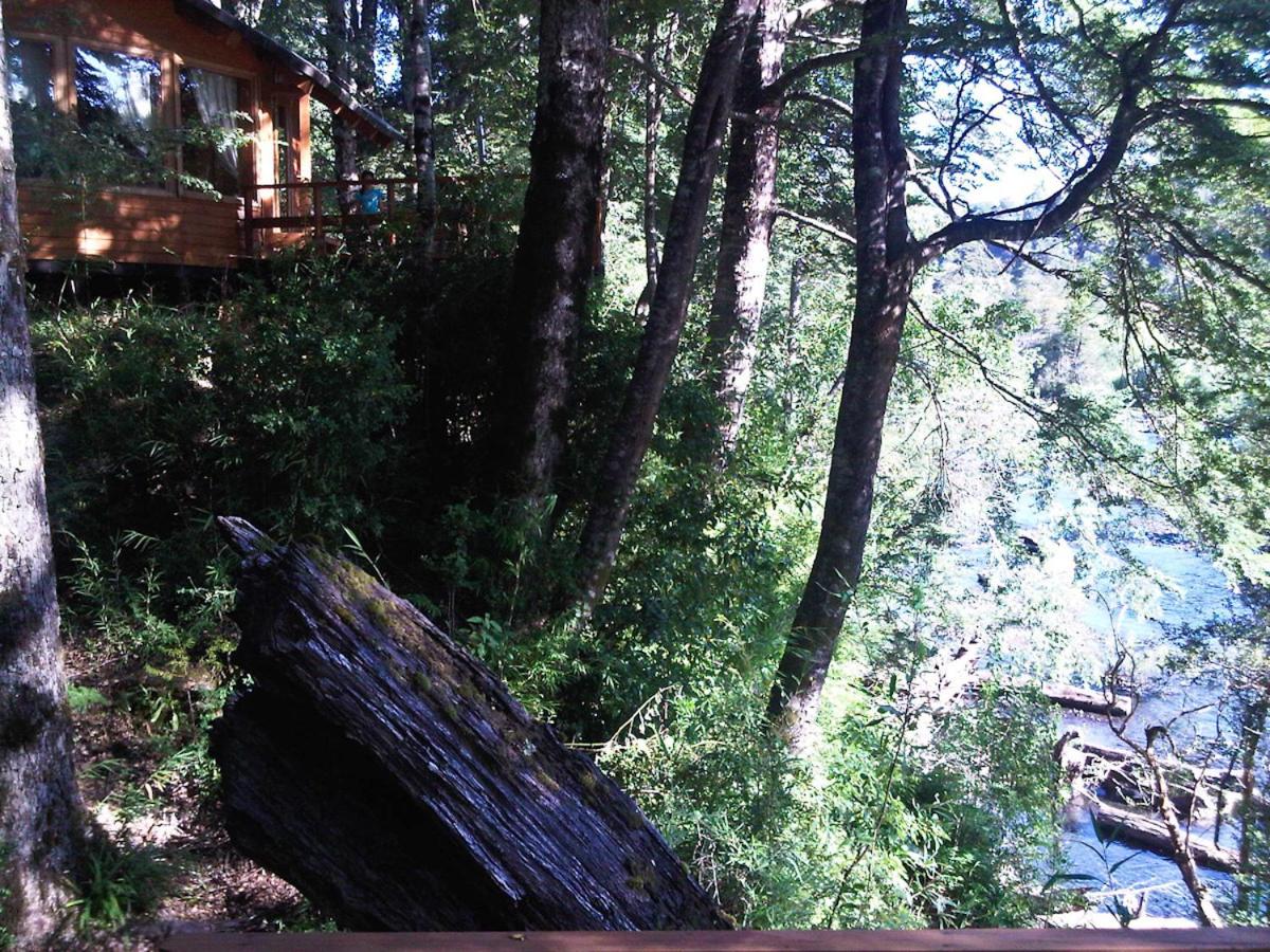 Patagonia Mawida