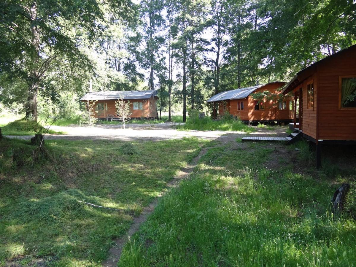 Patagonia Mawida
