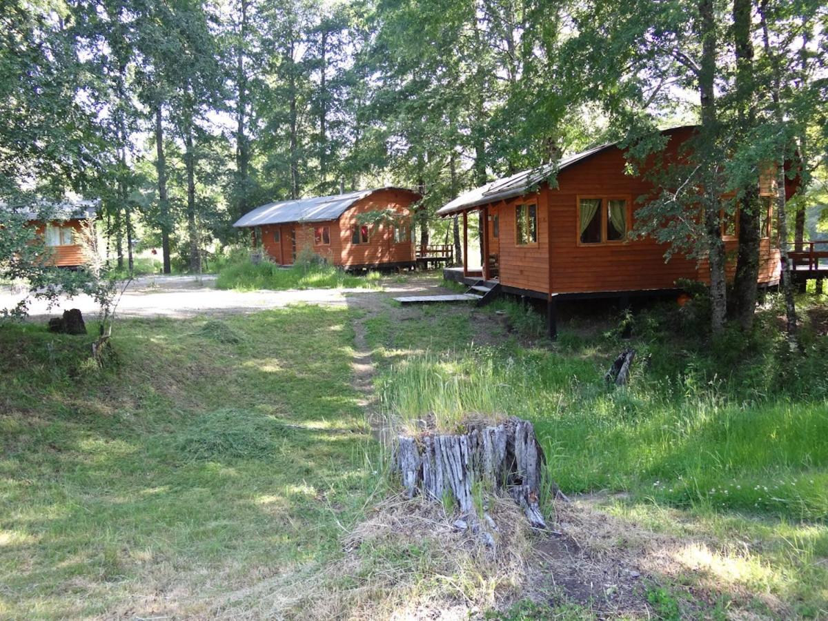 Patagonia Mawida