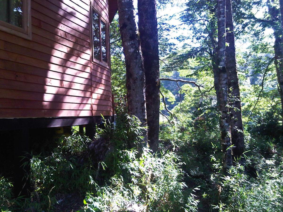 Patagonia Mawida