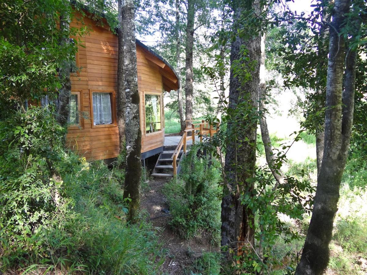 Patagonia Mawida