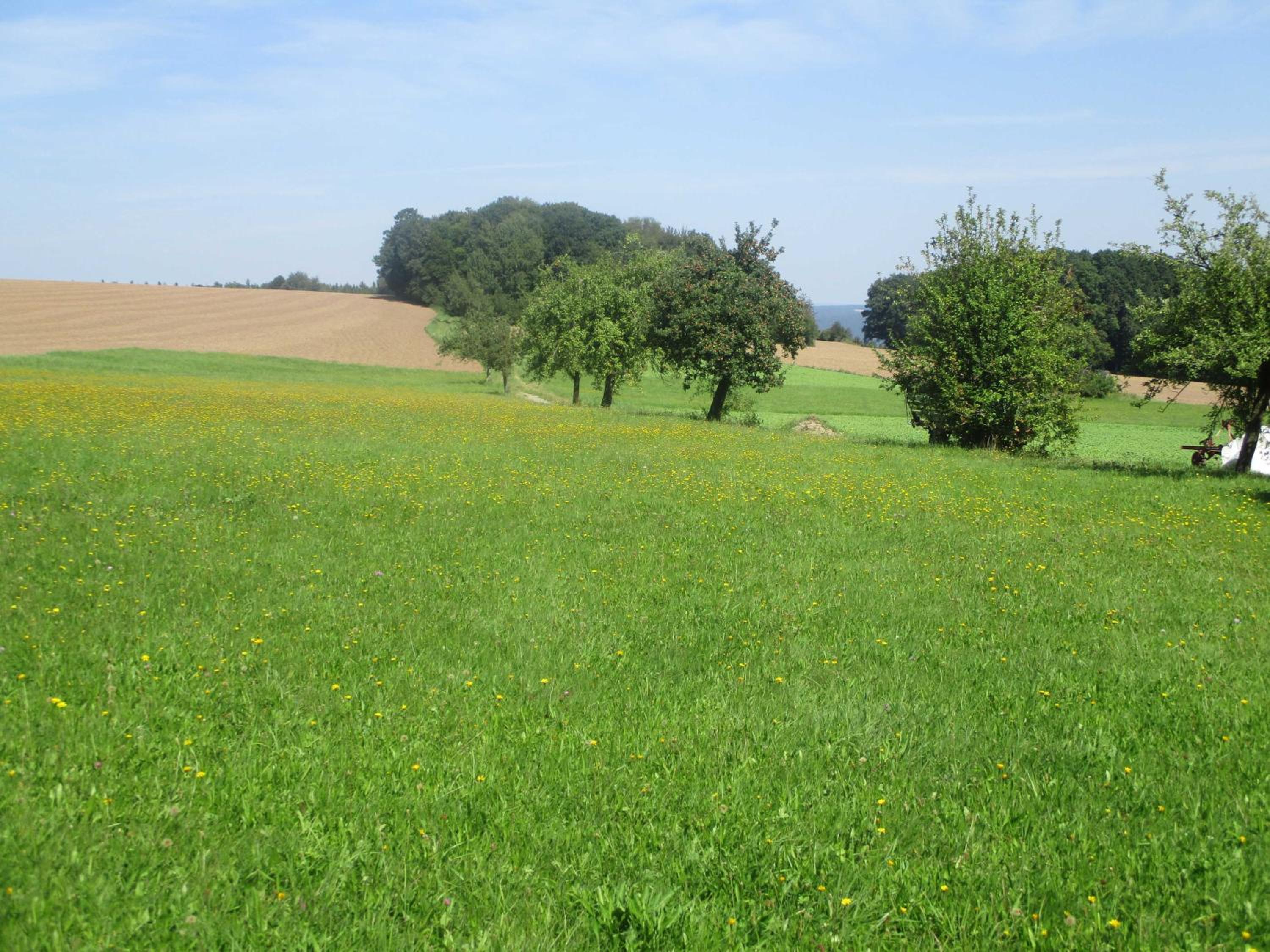 Blumenschein-Ferienwohnung Unne view 3