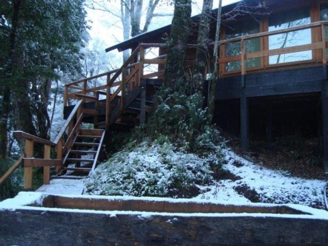 Patagonia Mawida