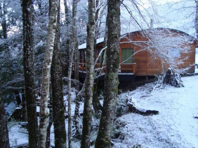 Patagonia Mawida