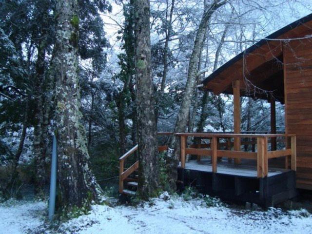 Patagonia Mawida