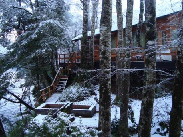 Patagonia Mawida