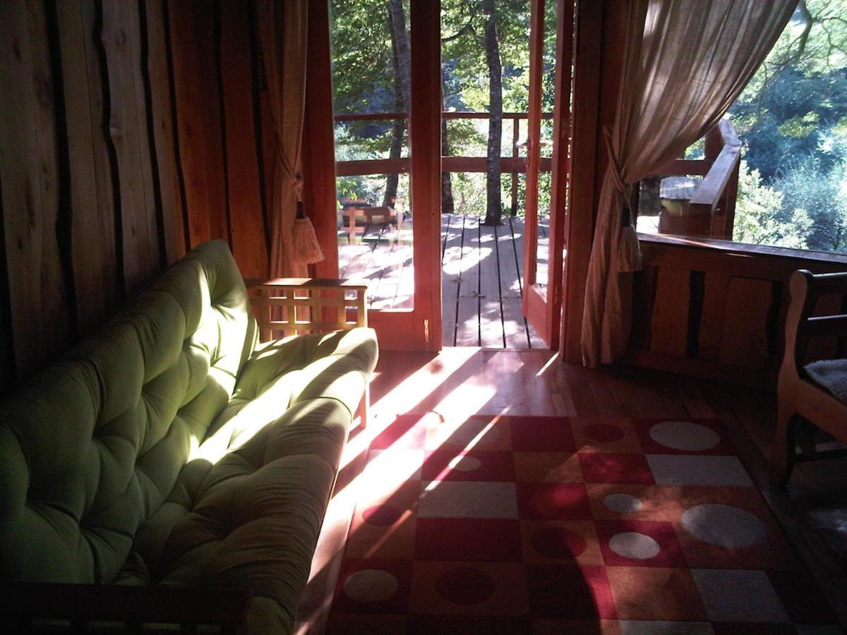 Patagonia Mawida