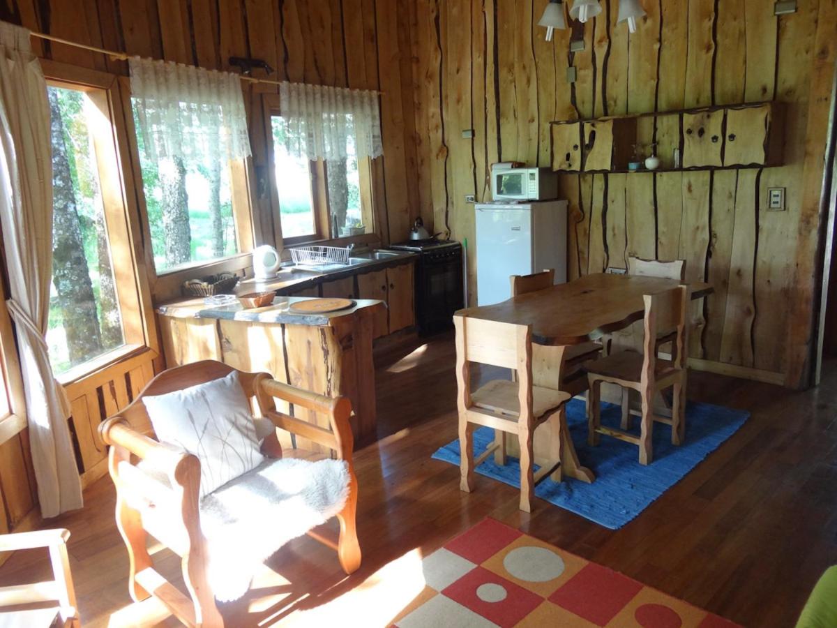 Patagonia Mawida