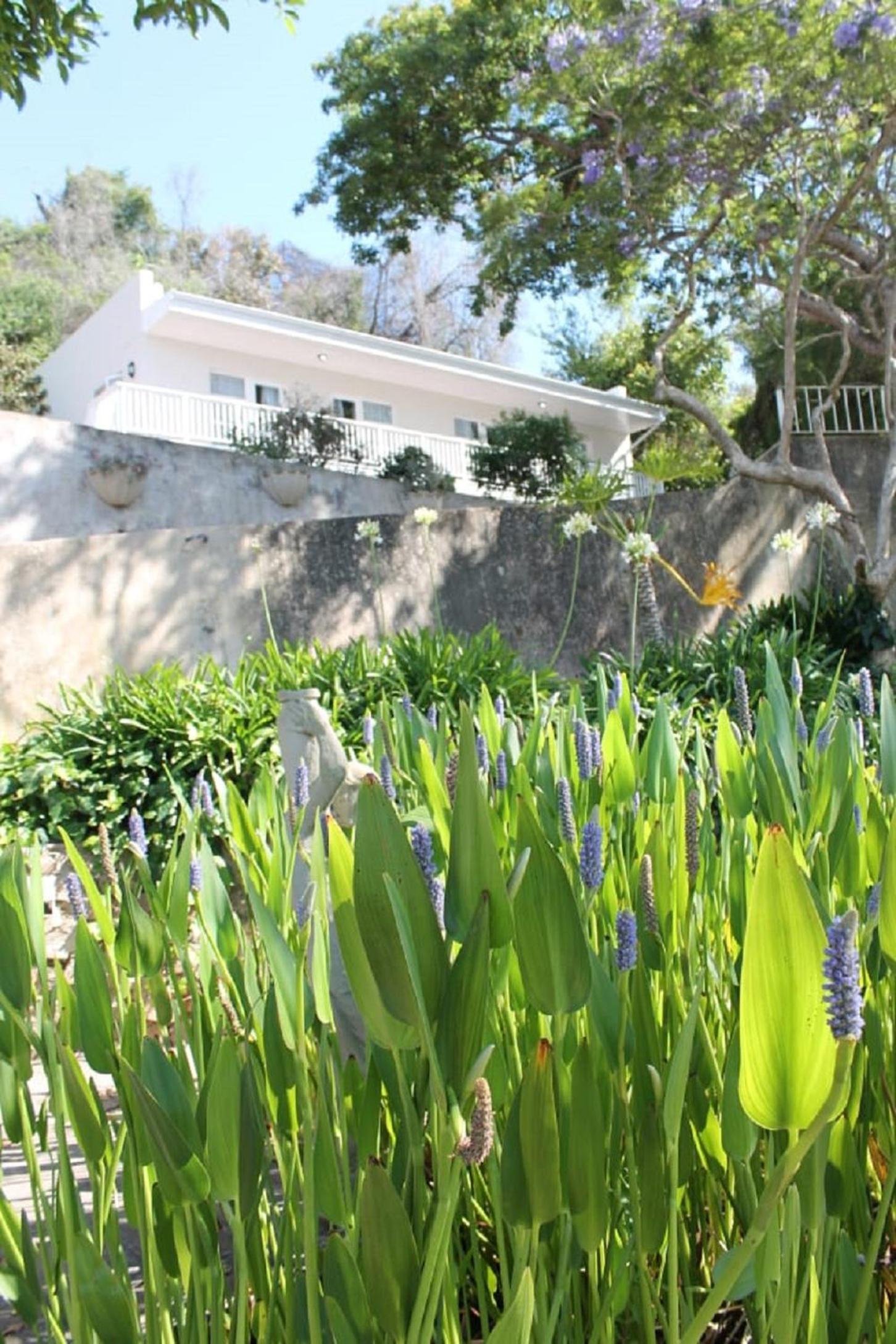 Phoenix Lodge and Waterside Accommodation