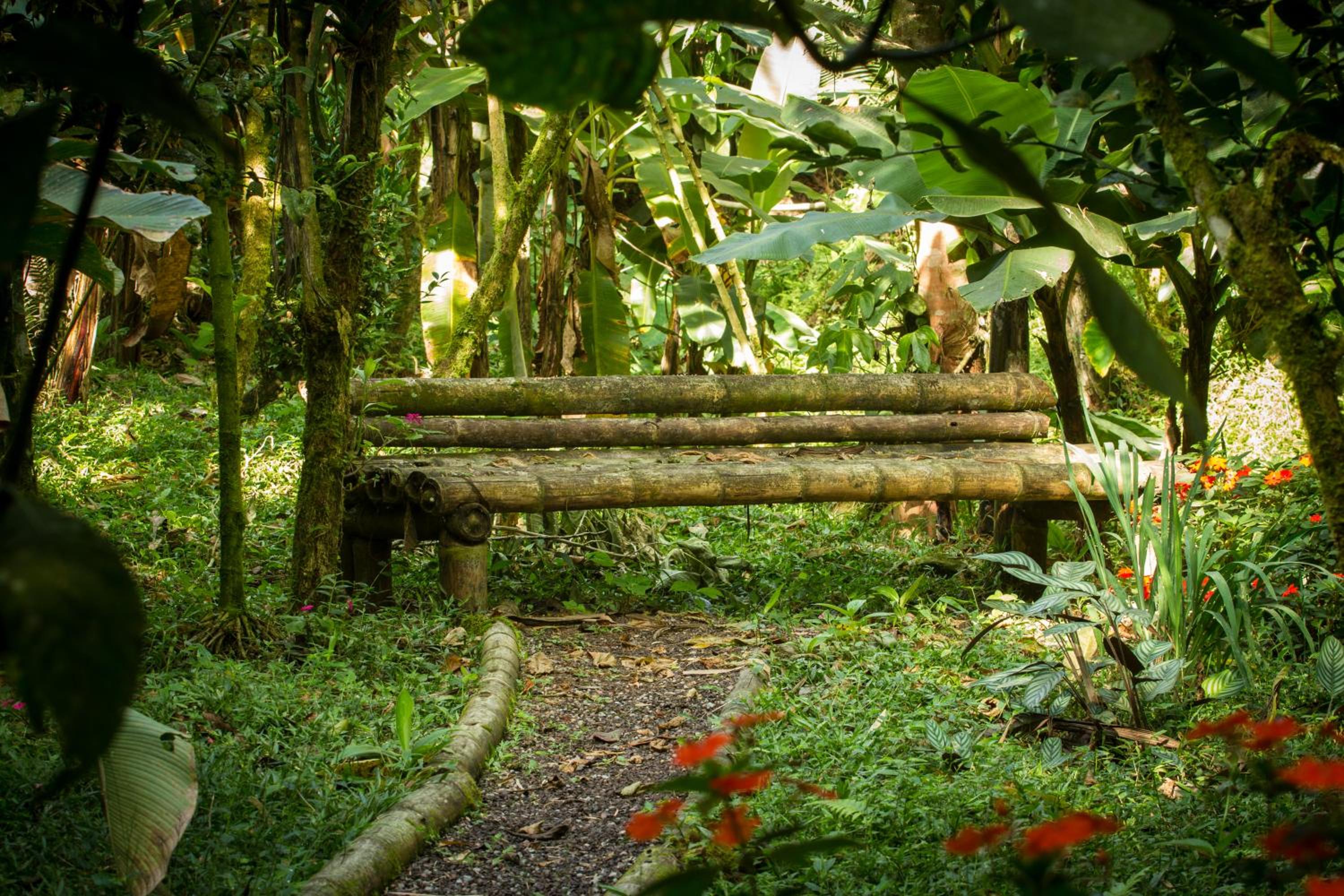 Casa Divina Eco Lodge