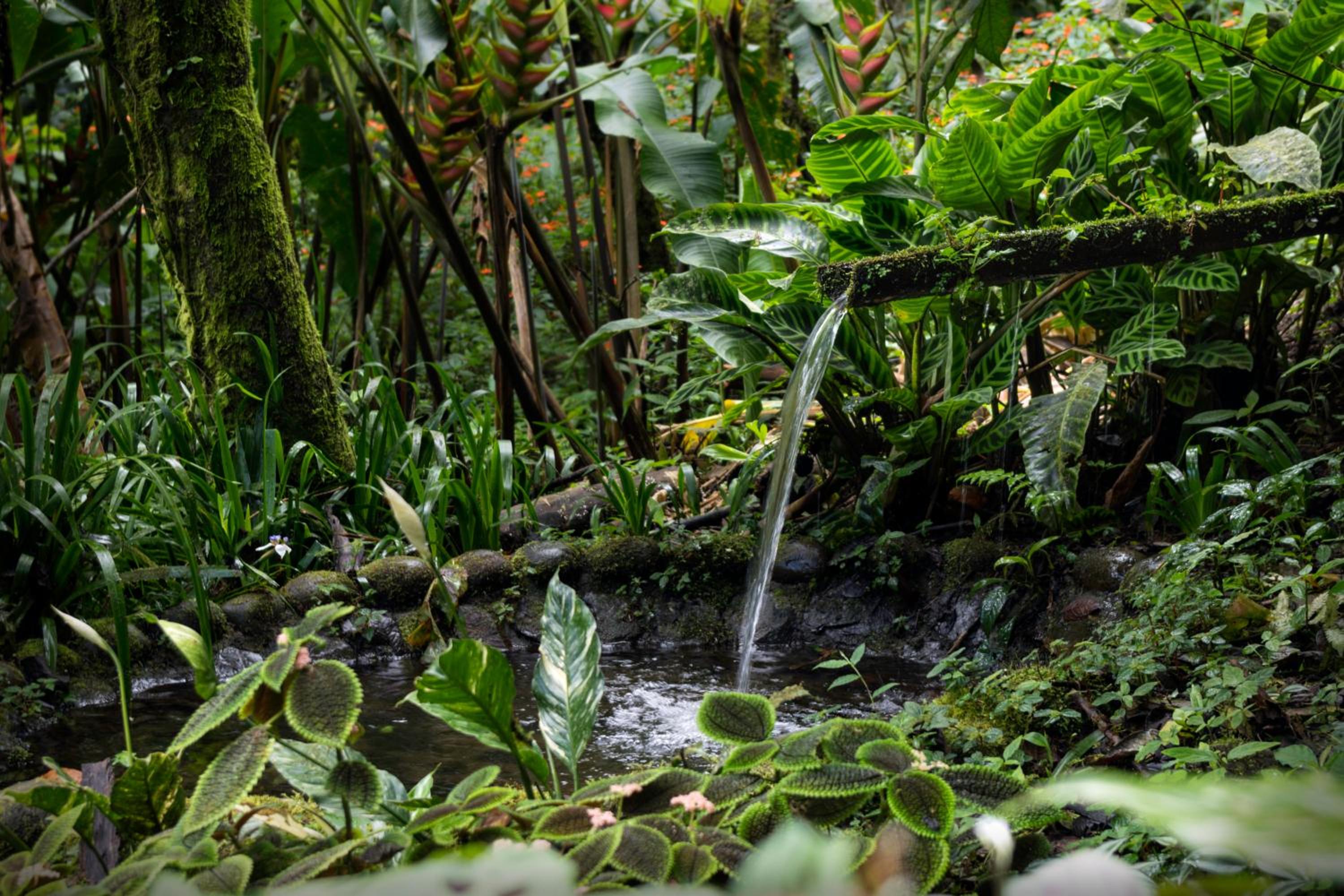 Casa Divina Eco Lodge