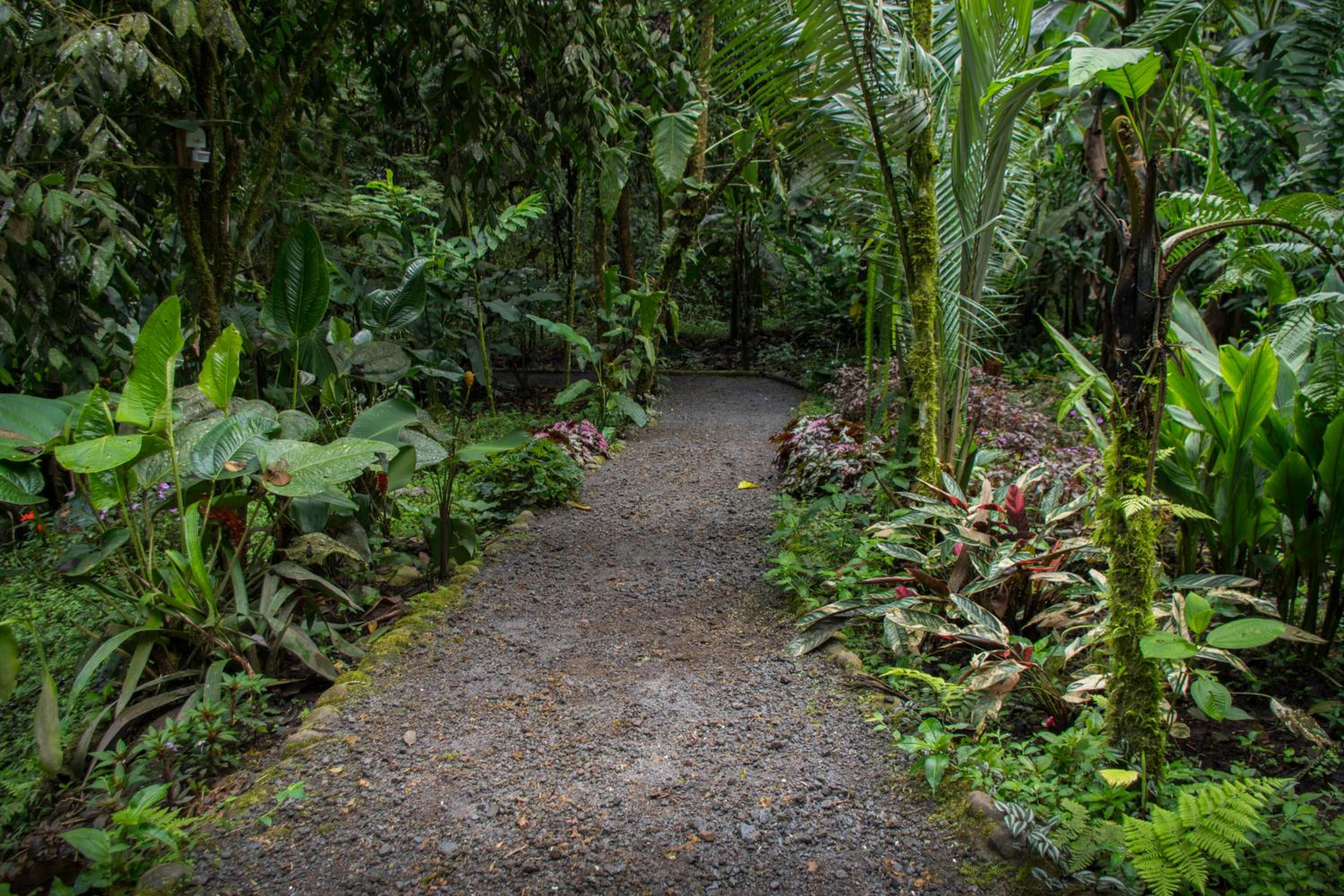 Casa Divina Eco Lodge