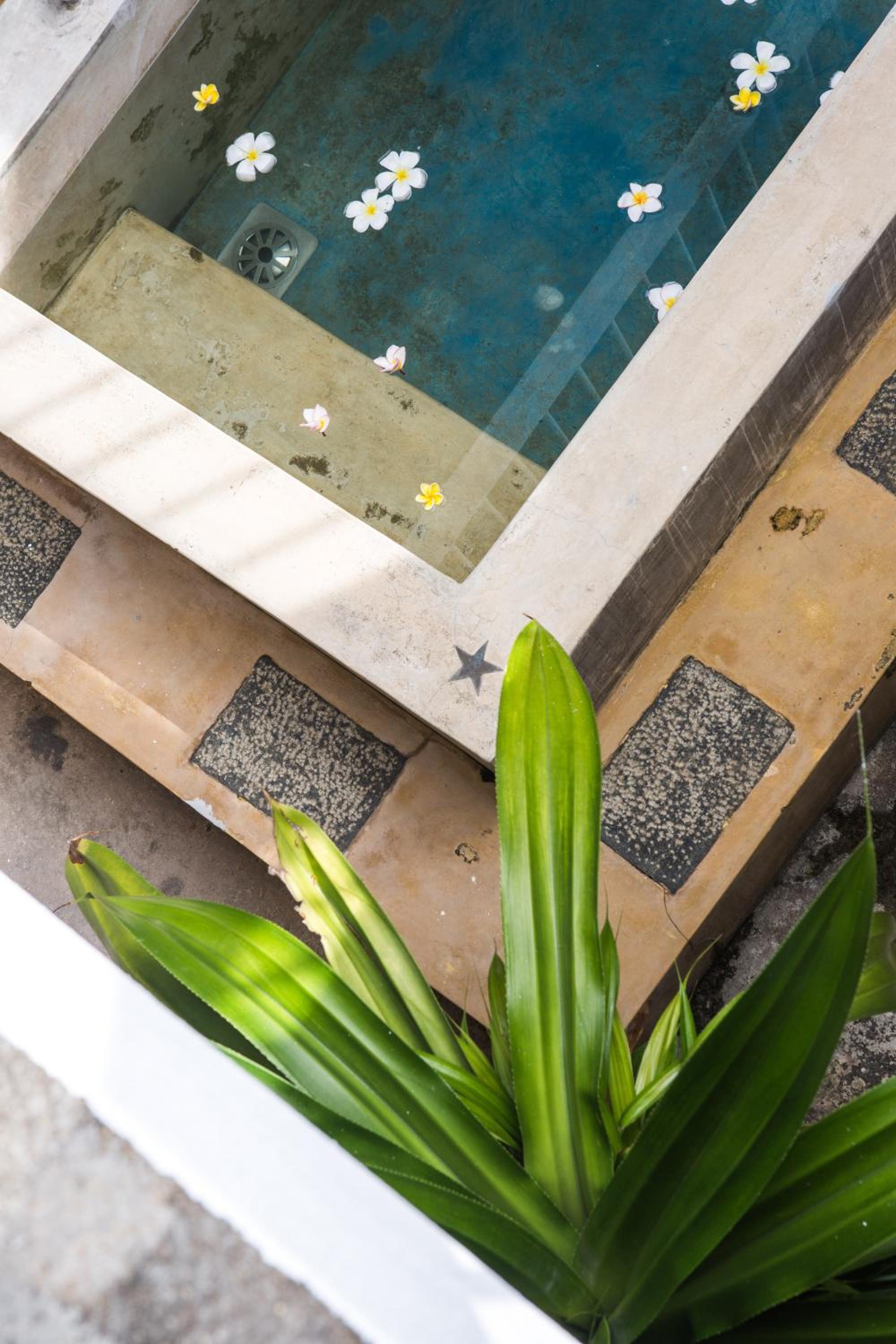 Villa White Queen Resort & Spa