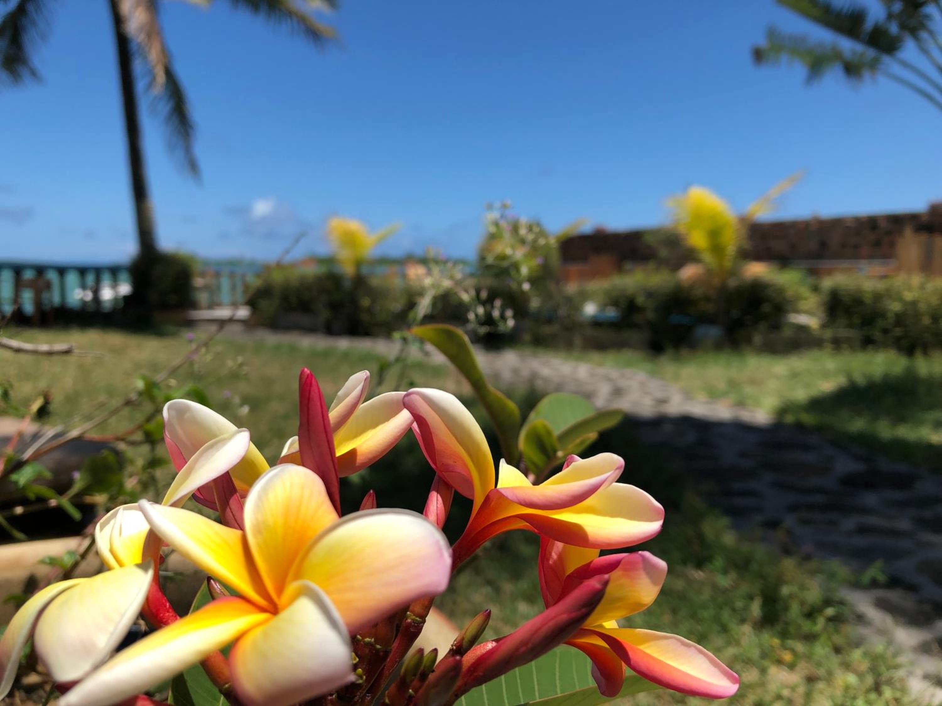 Coco Villa