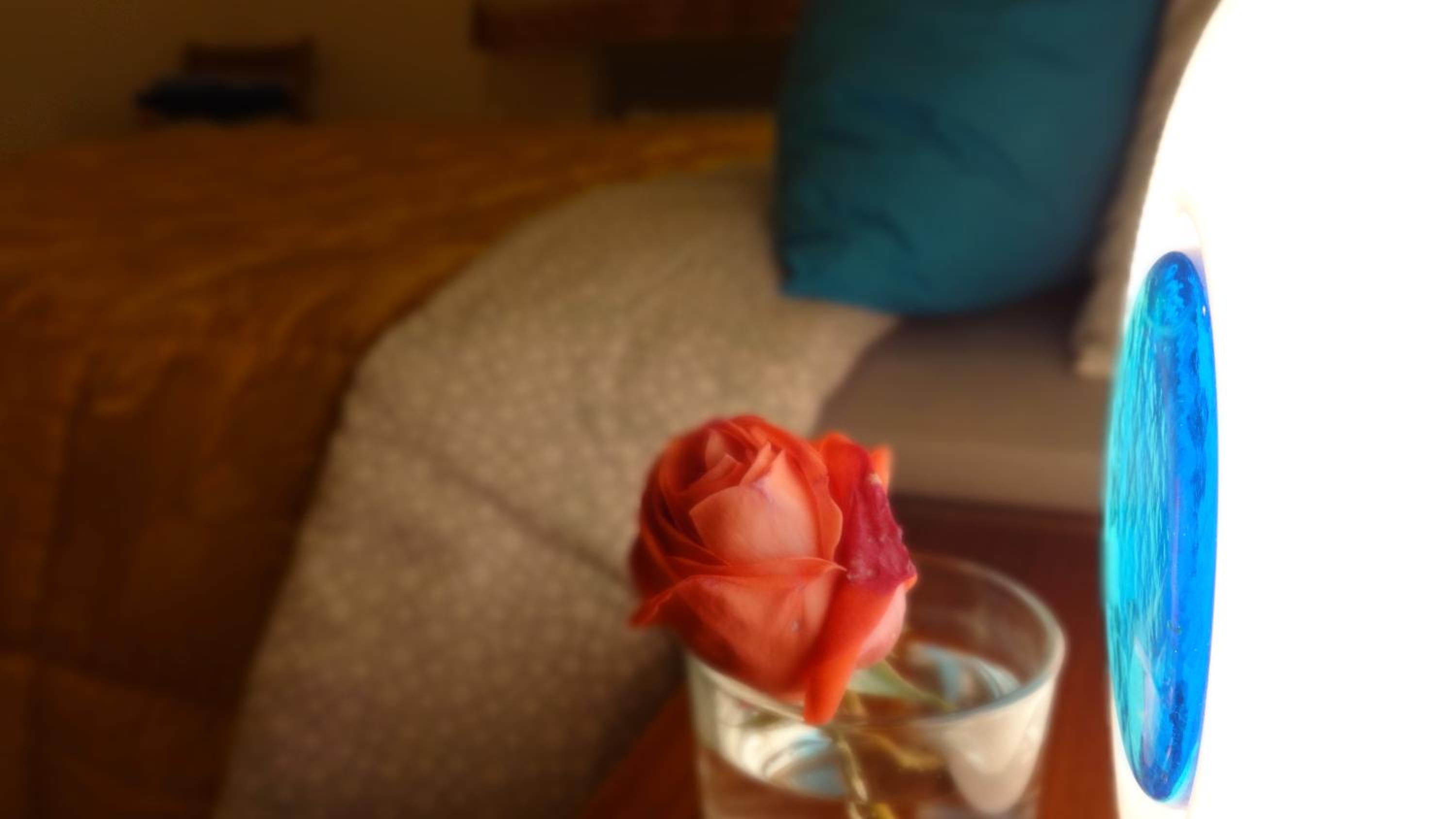 Livada en Gorizia — hotel room