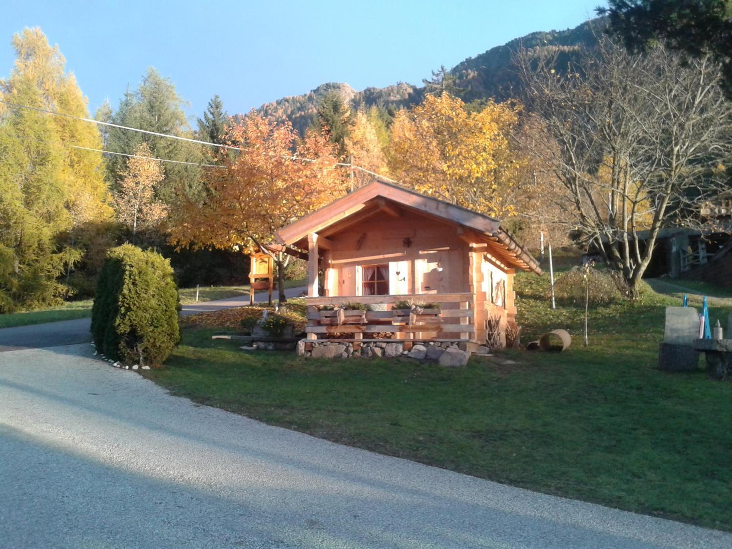 Photo 15