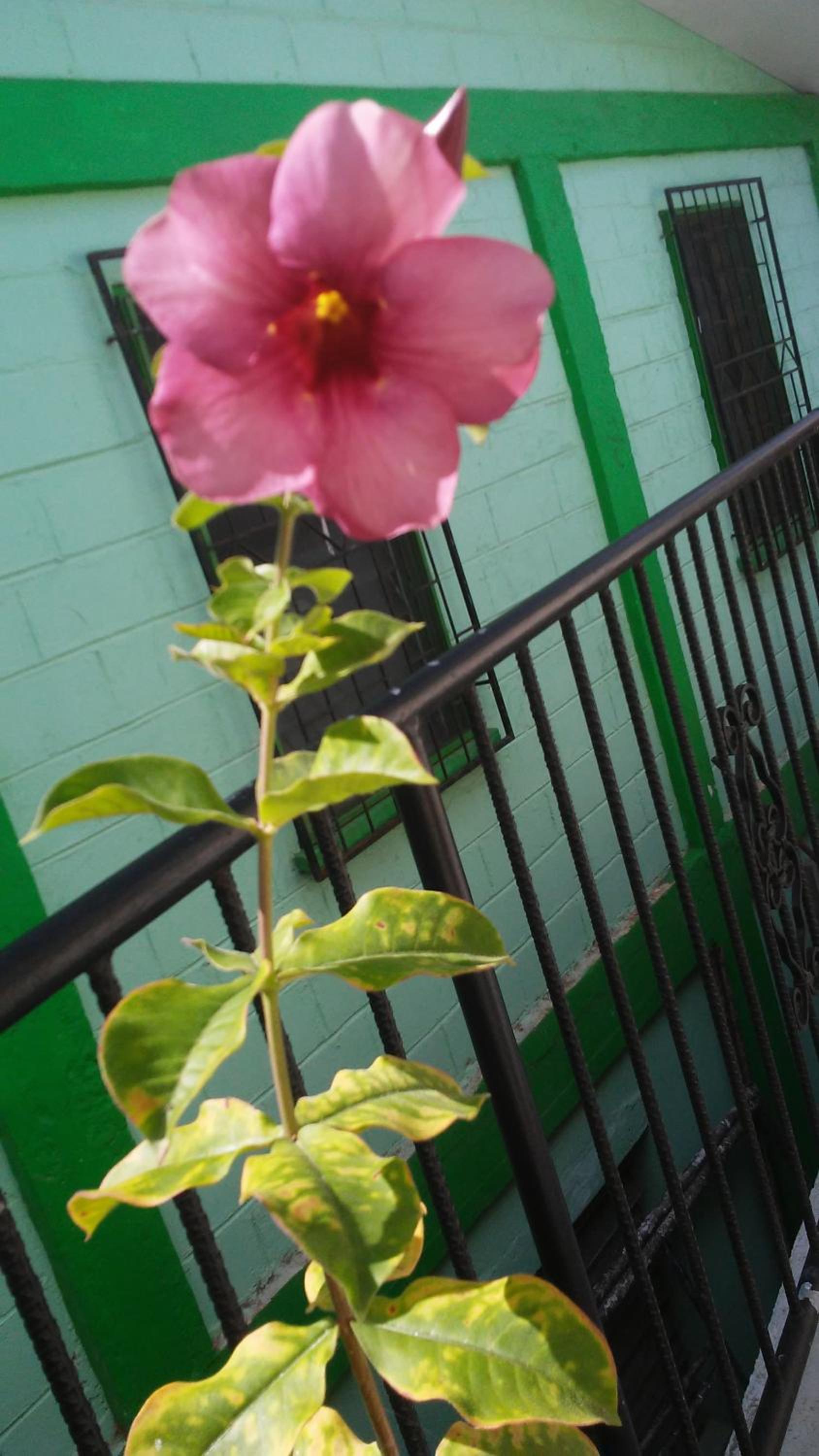 Don Santiago Guesthouse Downtown