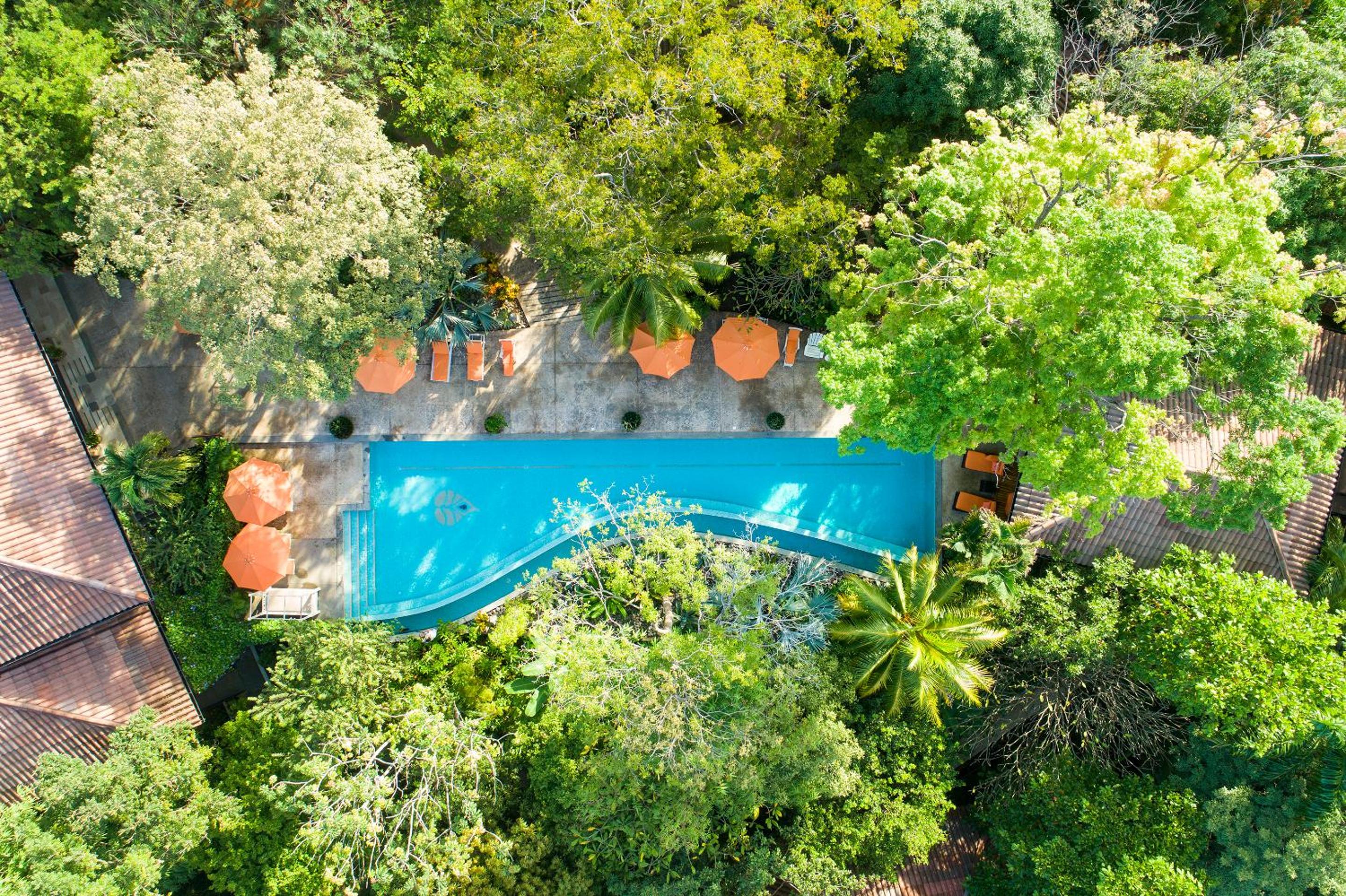 Bodhi Tree Yoga Resort