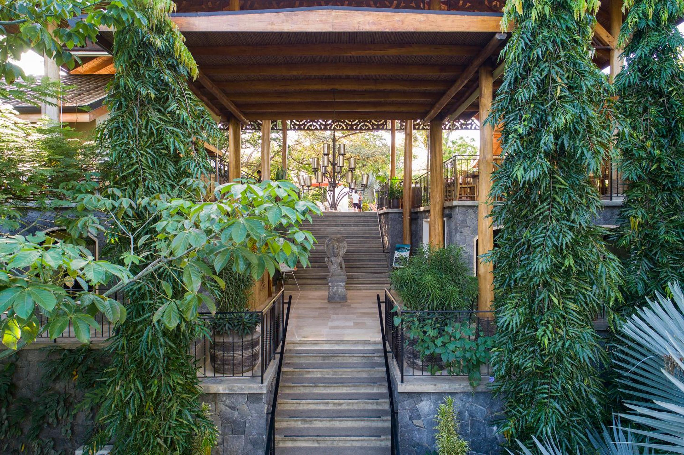 Bodhi Tree Yoga Resort