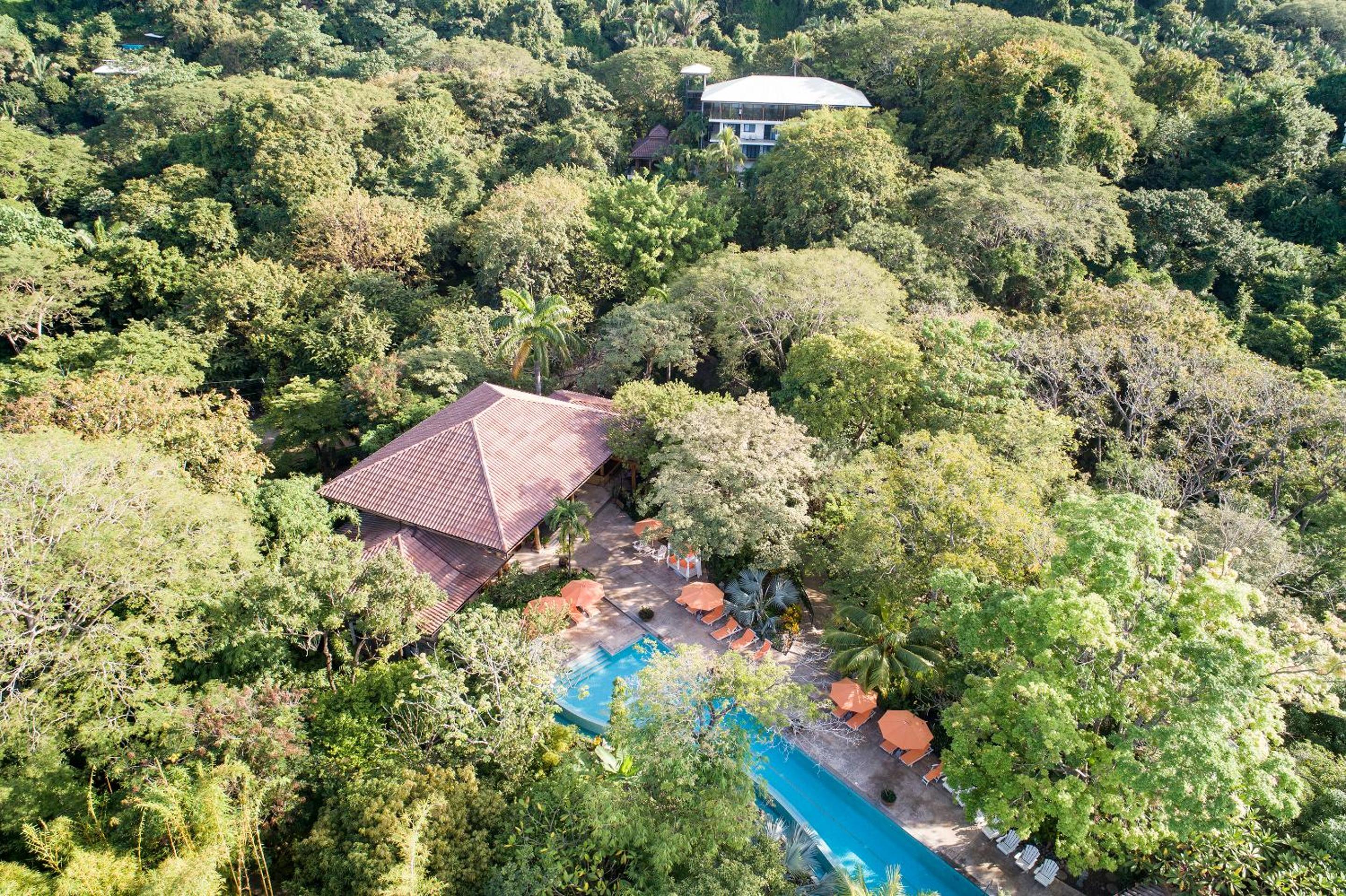 Bodhi Tree Yoga Resort